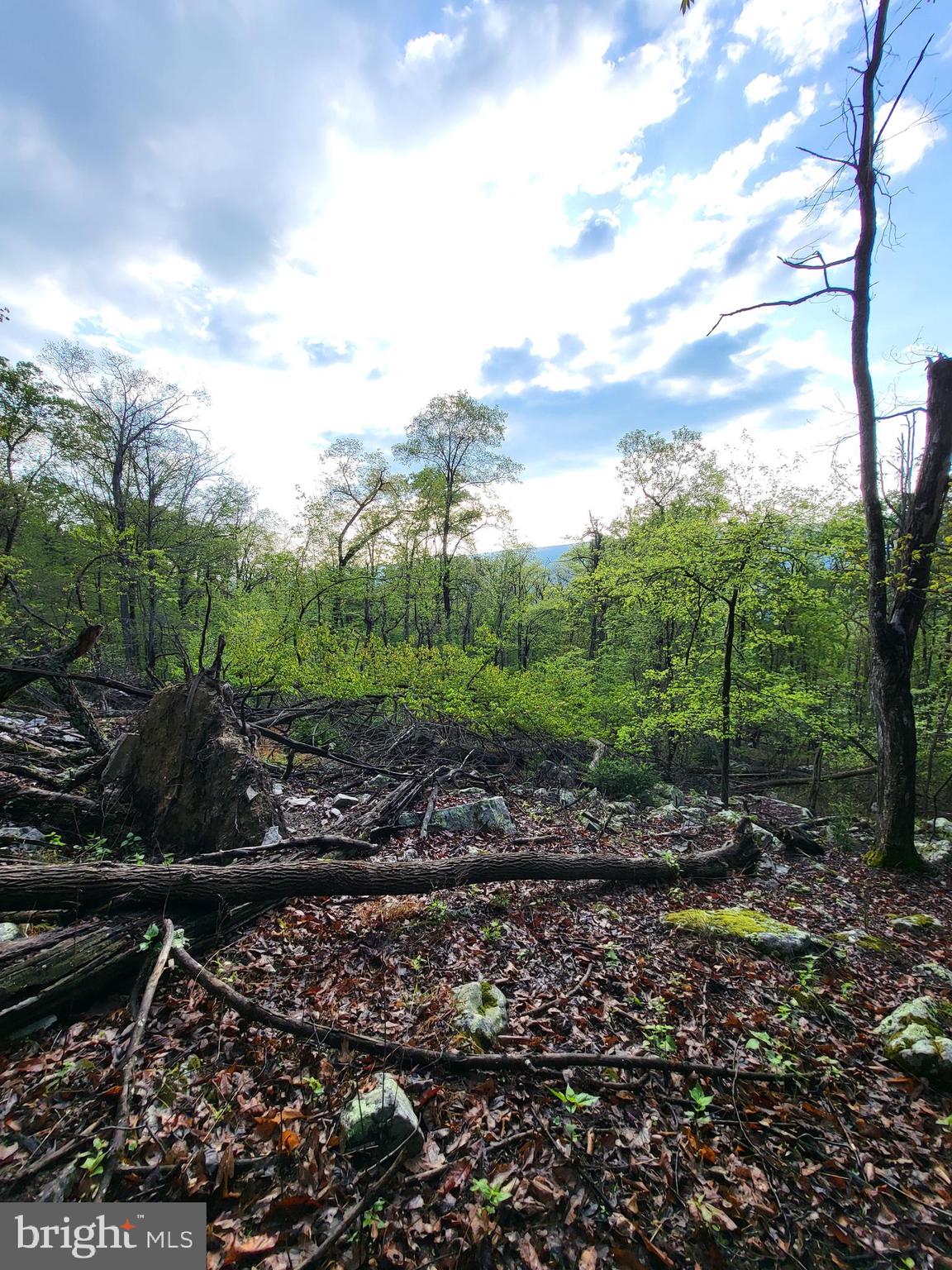 CACAPON HIGHLANDS - Land