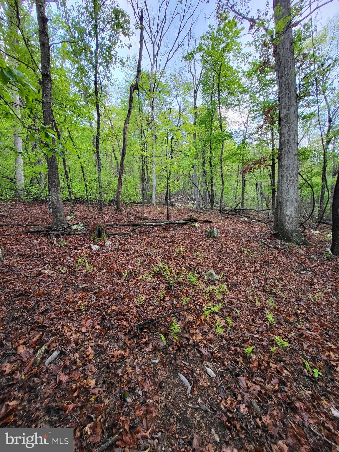CACAPON HIGHLANDS - Land