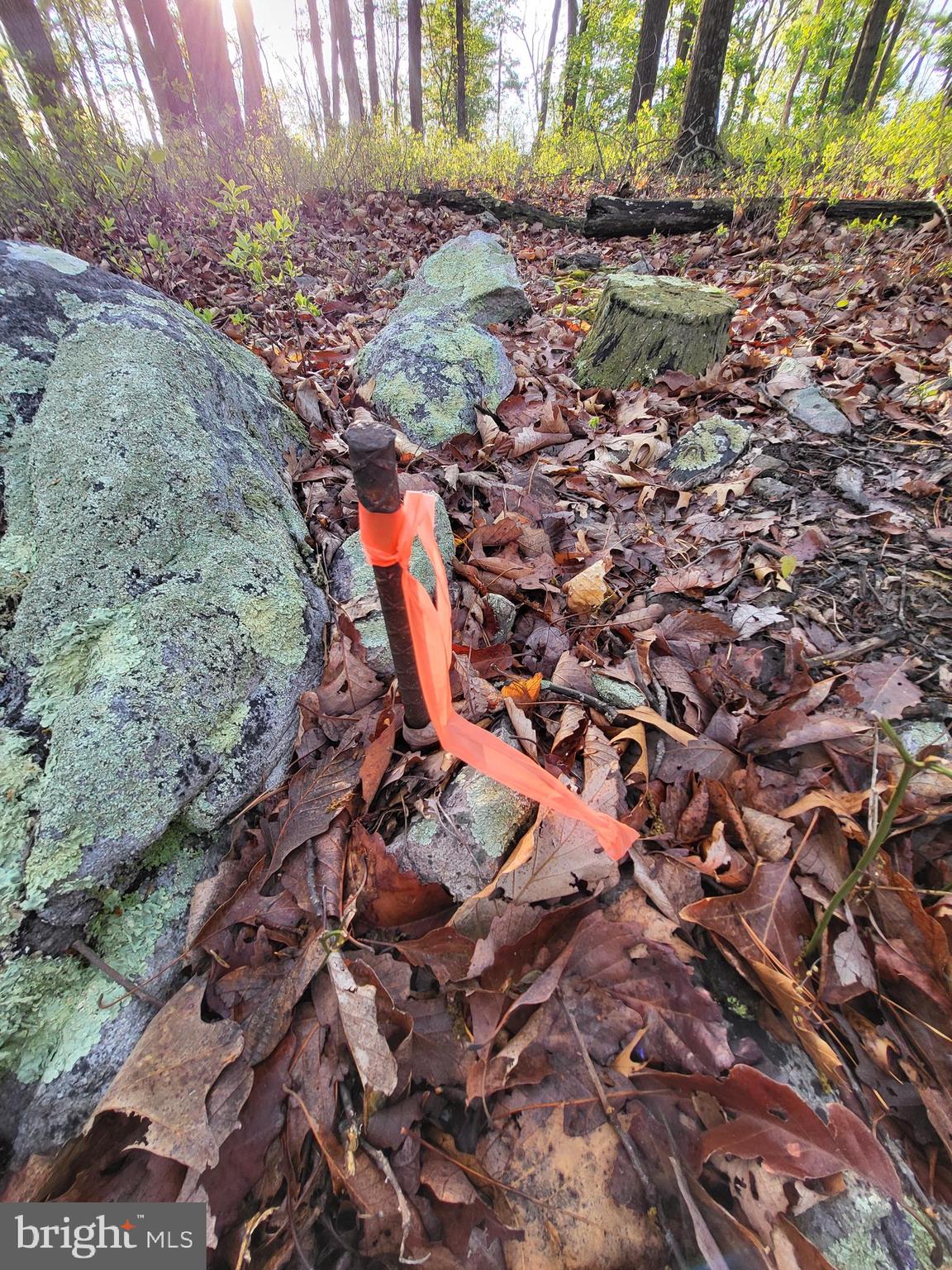 CACAPON HIGHLANDS - Land