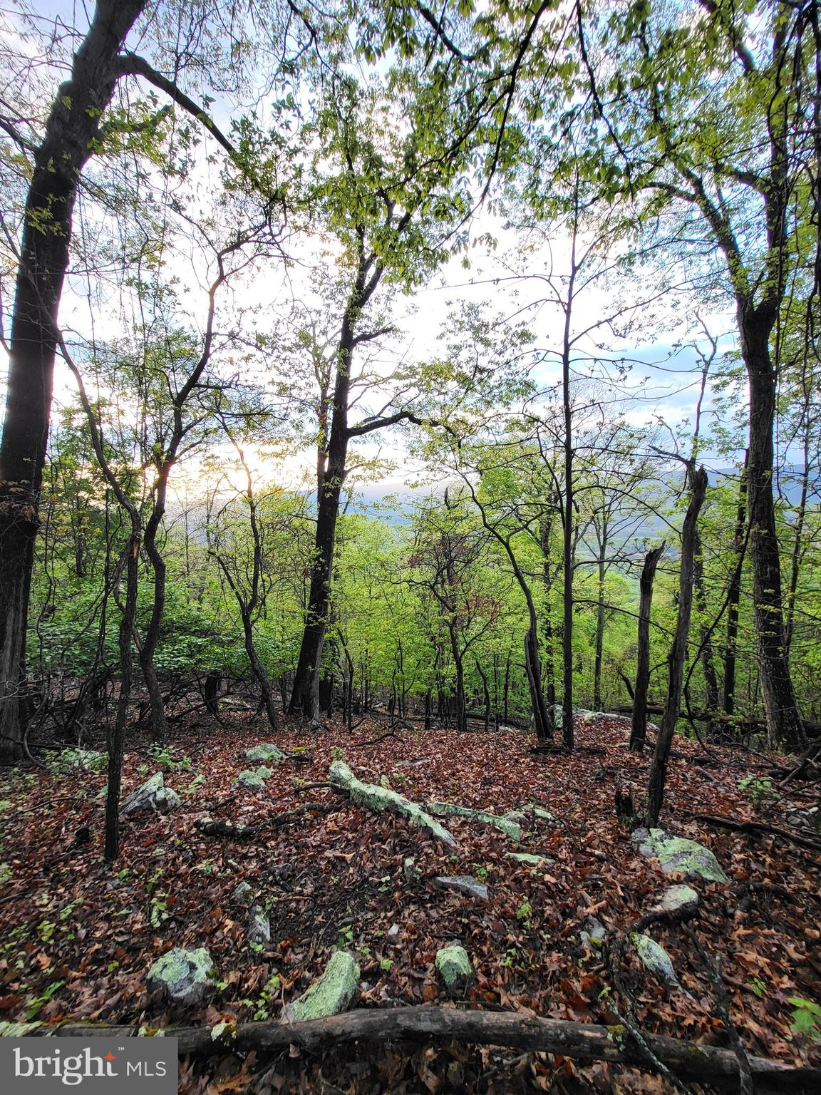 CACAPON HIGHLANDS - Land