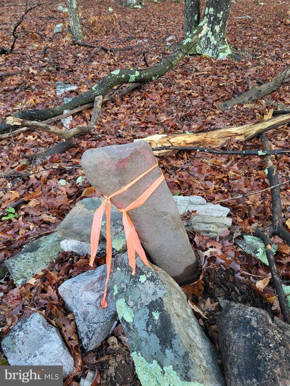CACAPON HIGHLANDS - Land