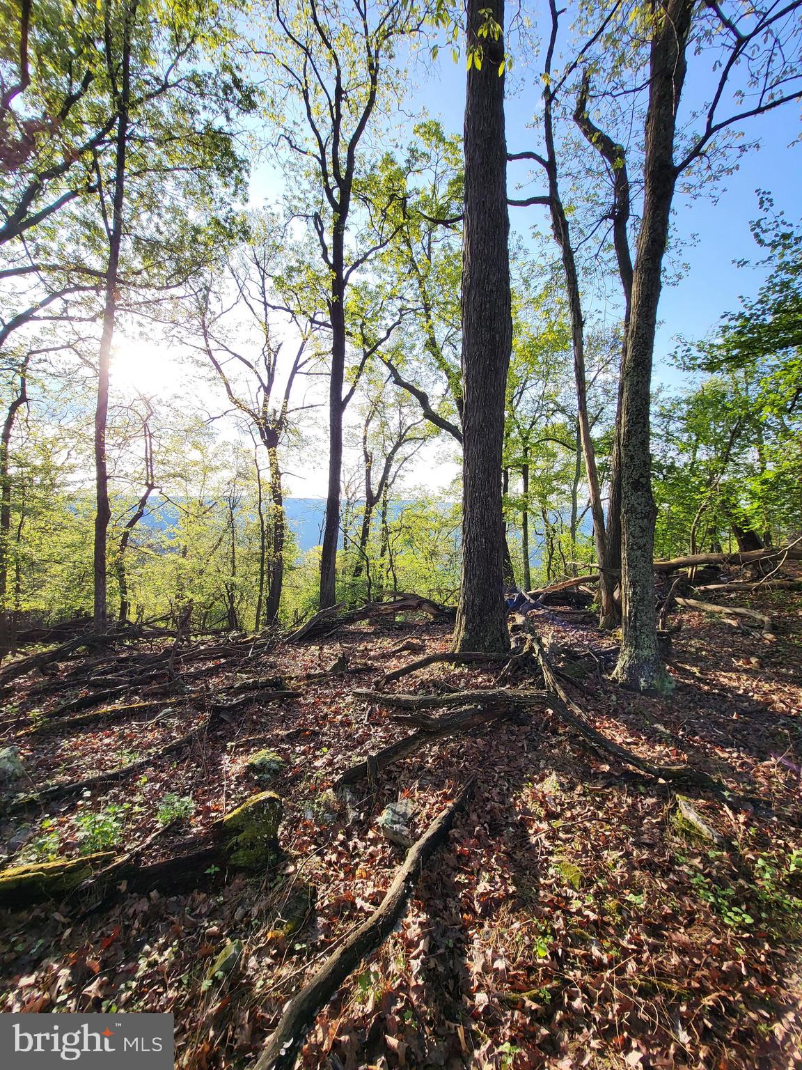 CACAPON HIGHLANDS - Land