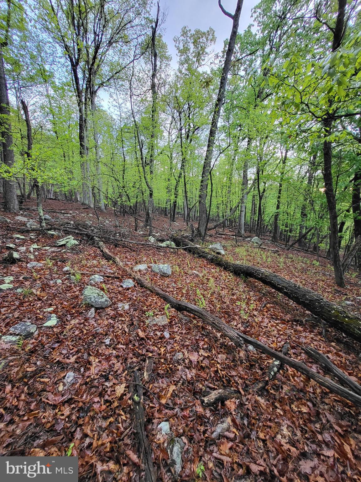 CACAPON HIGHLANDS - Land