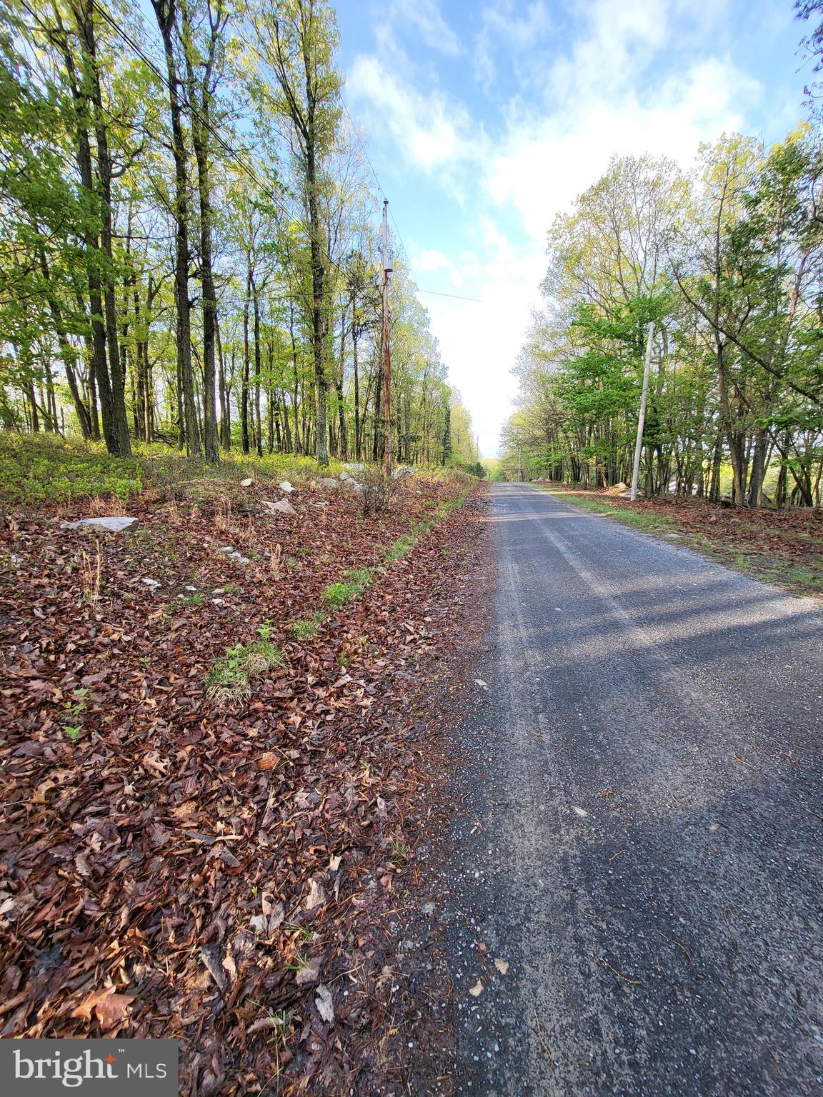 CACAPON HIGHLANDS - Land