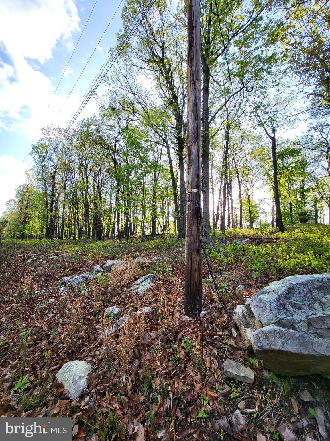 CACAPON HIGHLANDS - Land