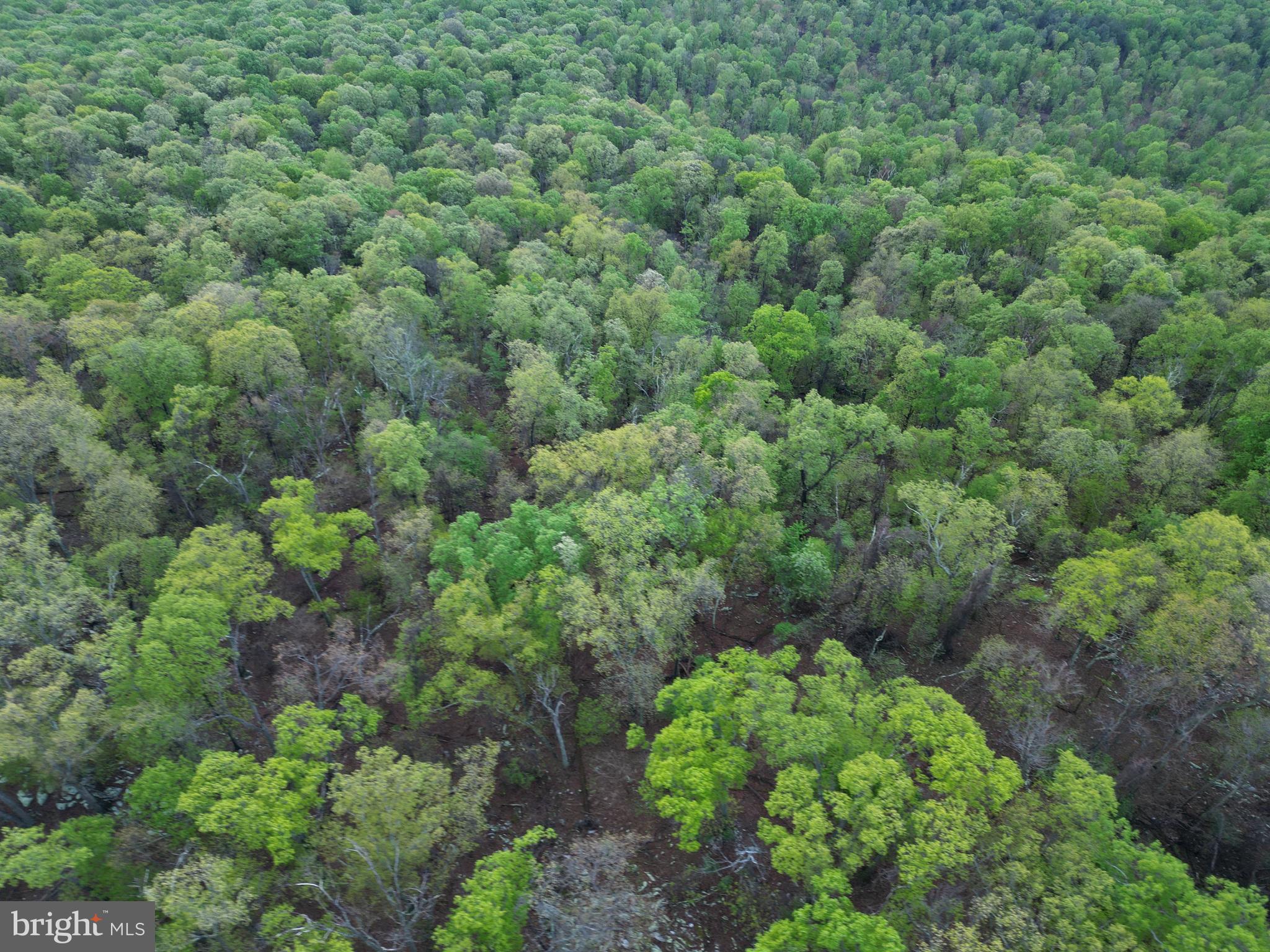 CACAPON HIGHLANDS - Land