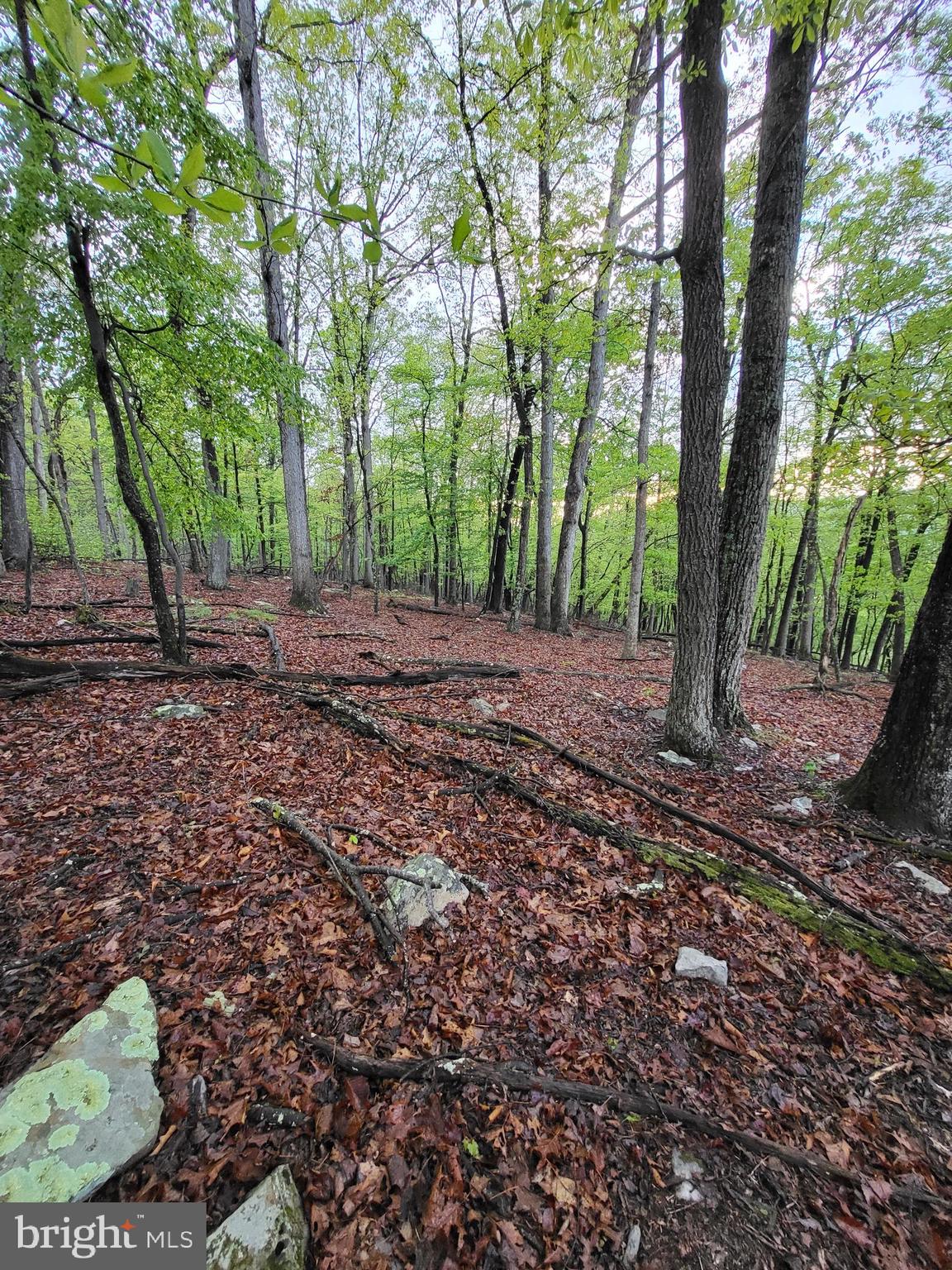 CACAPON HIGHLANDS - Land