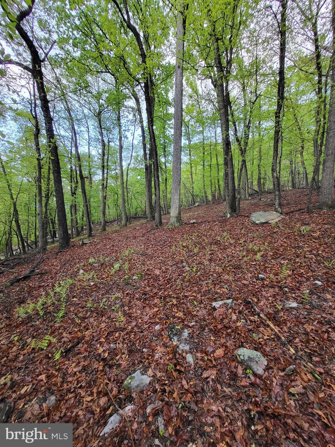 CACAPON HIGHLANDS - Land