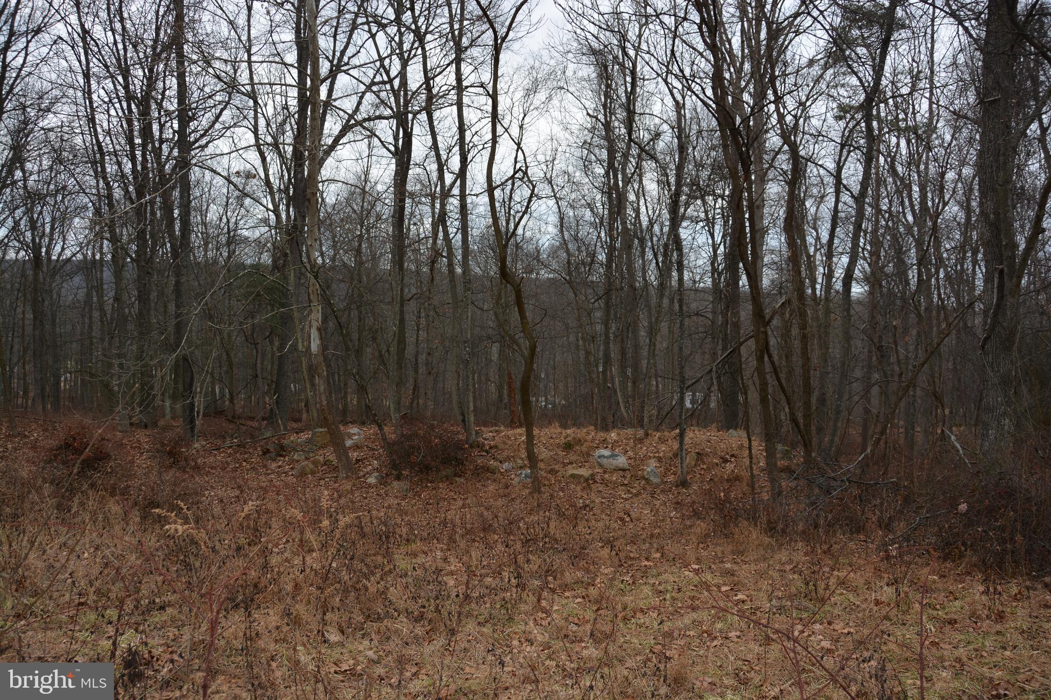 BUFFALO RIDGE RANCHETTES - Residential