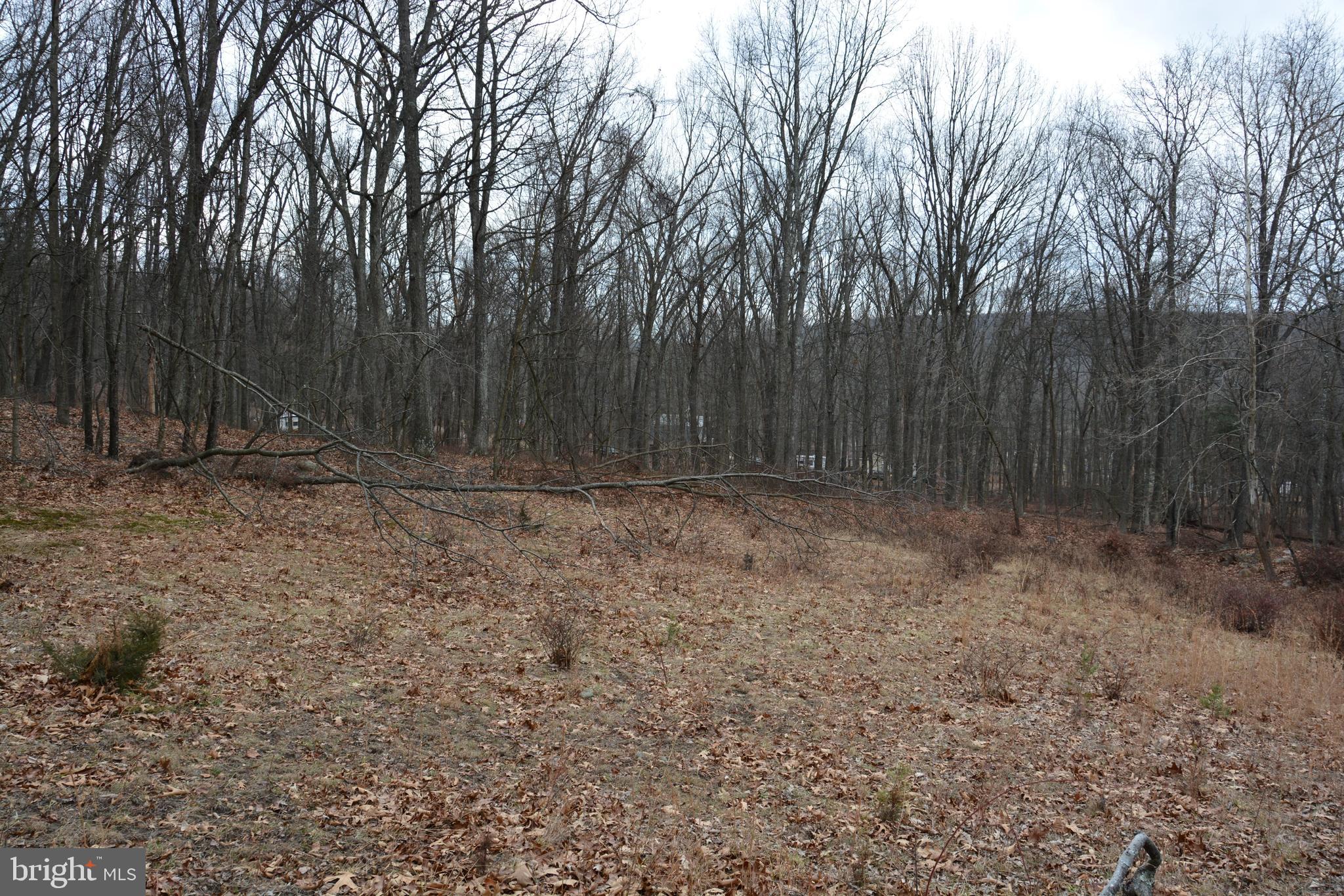 BUFFALO RIDGE RANCHETTES - Residential