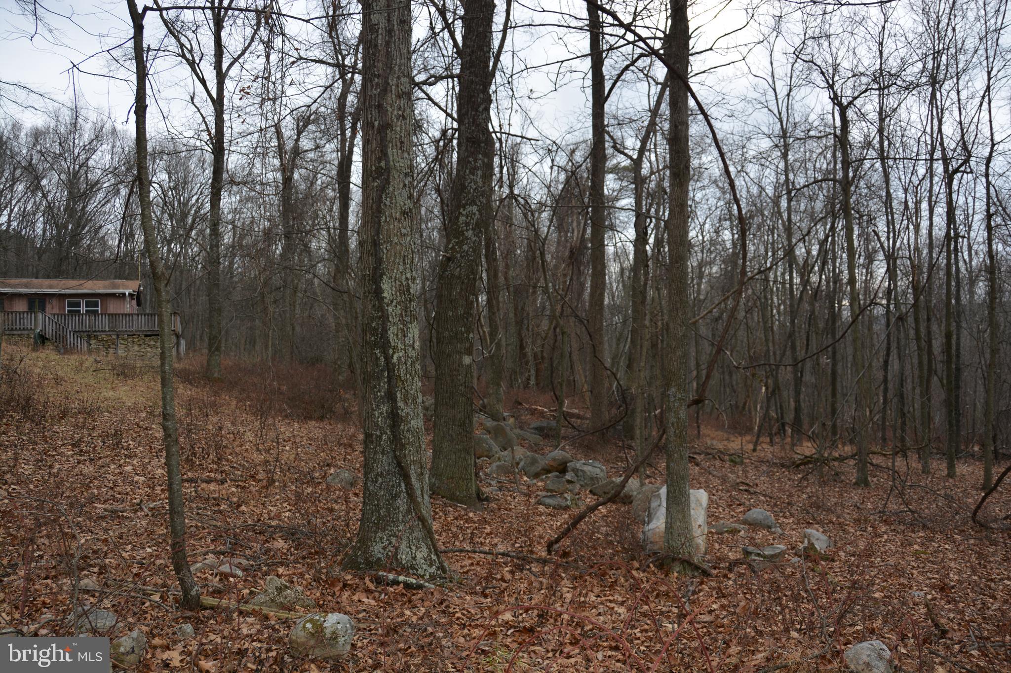 BUFFALO RIDGE RANCHETTES - Residential