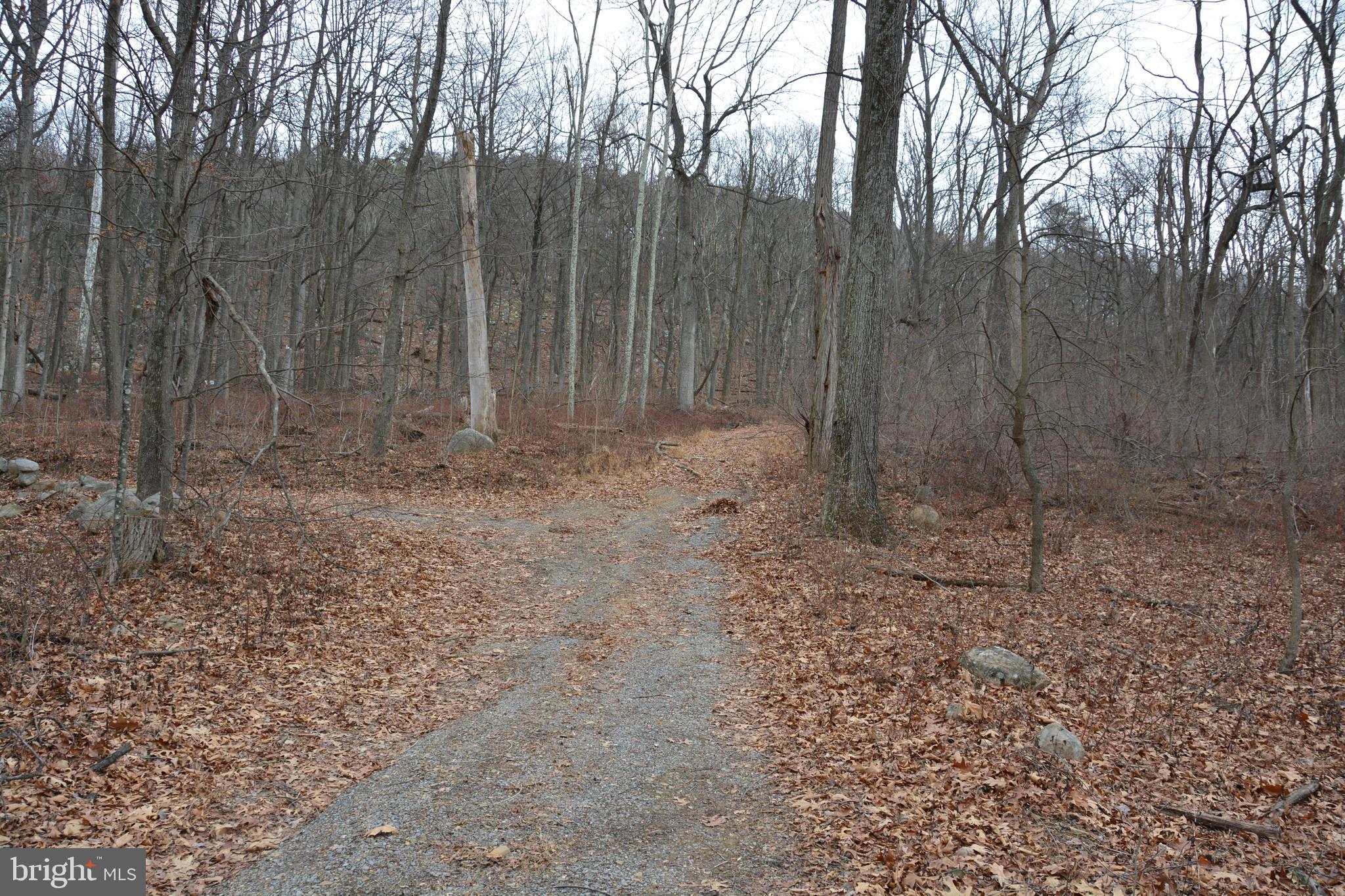 BUFFALO RIDGE RANCHETTES - Residential