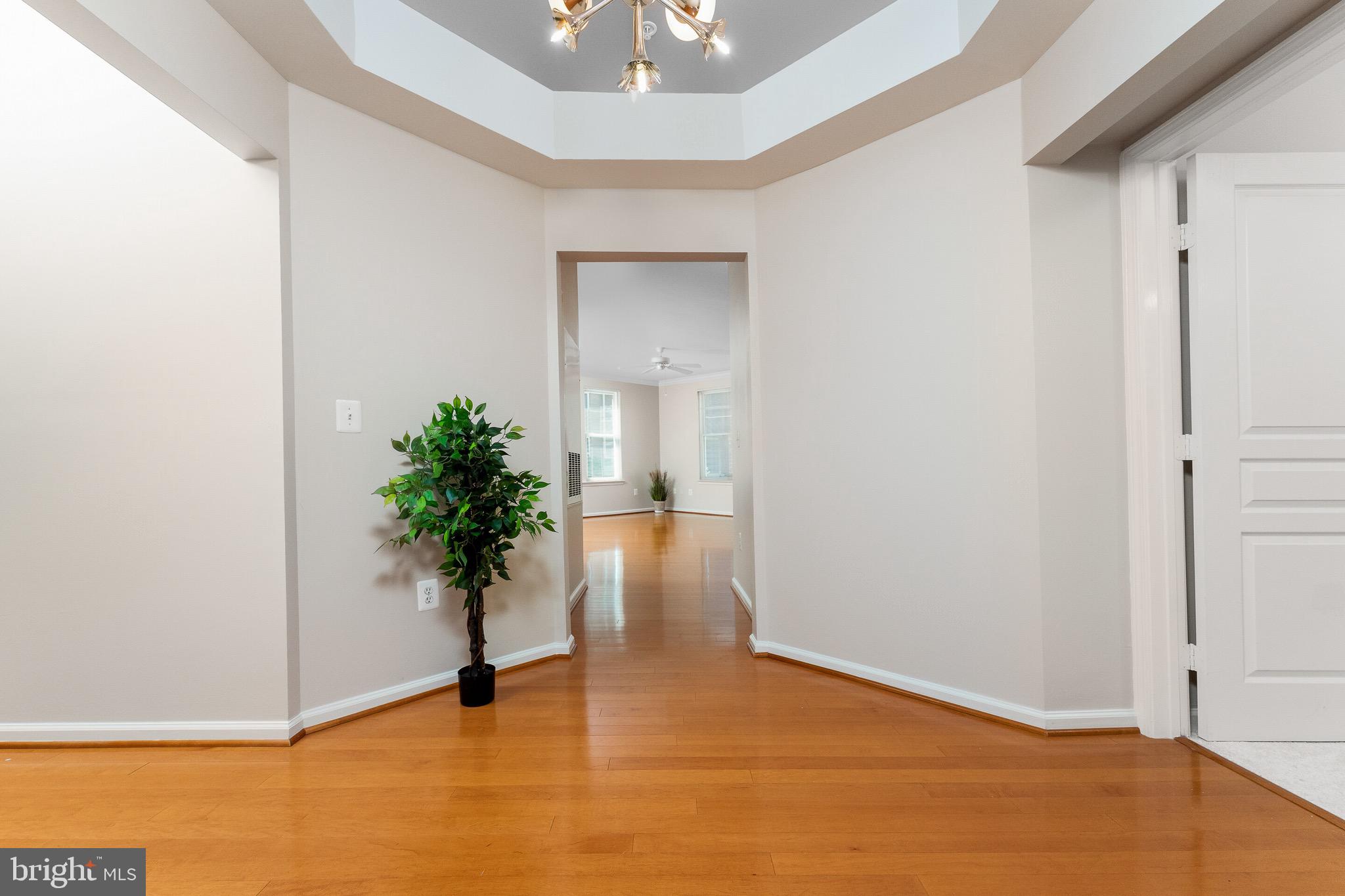 MARKET STREET AT TOWN CENTER - Residential