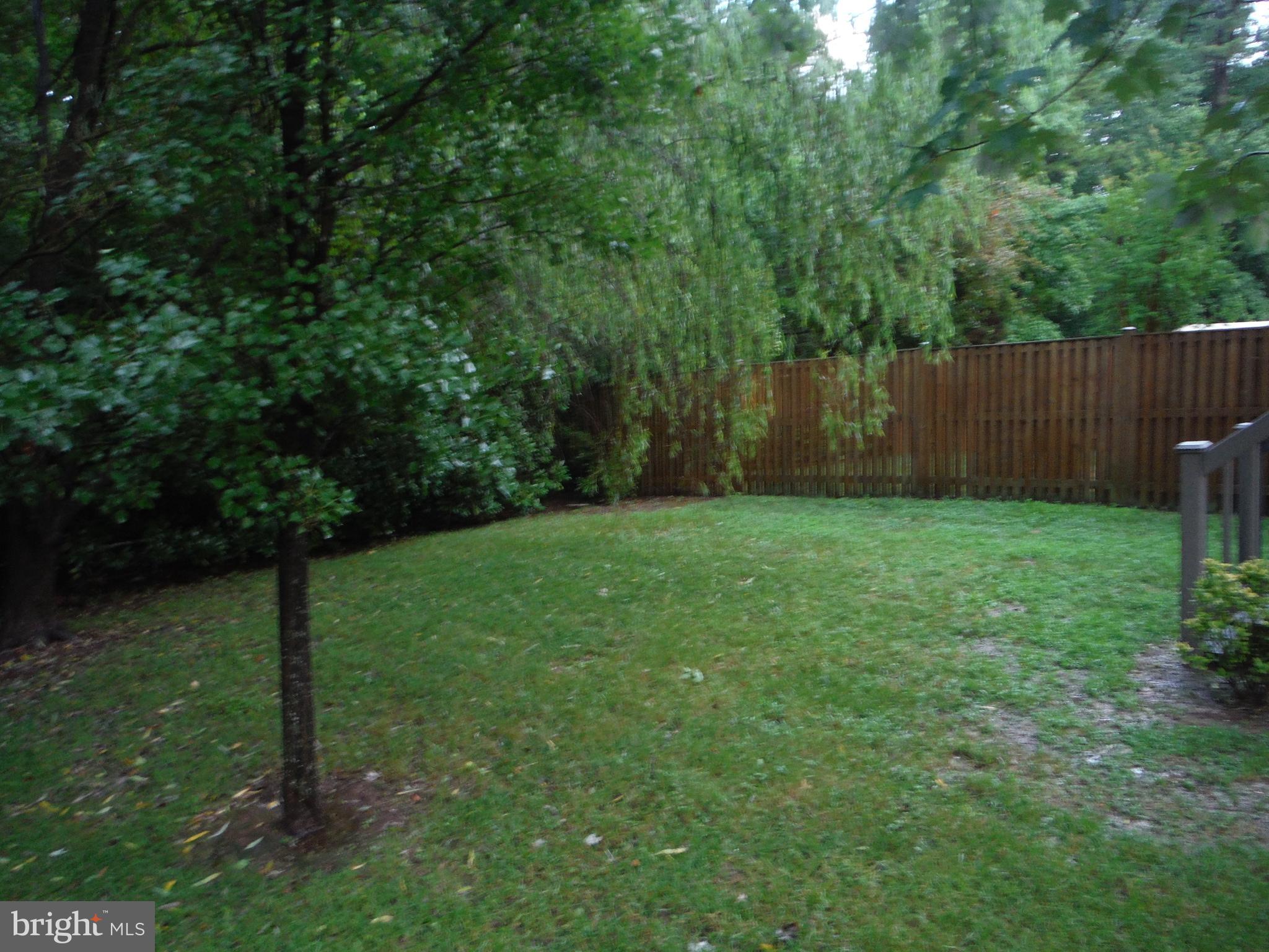 CHESTNUT HILL COVE - Residential