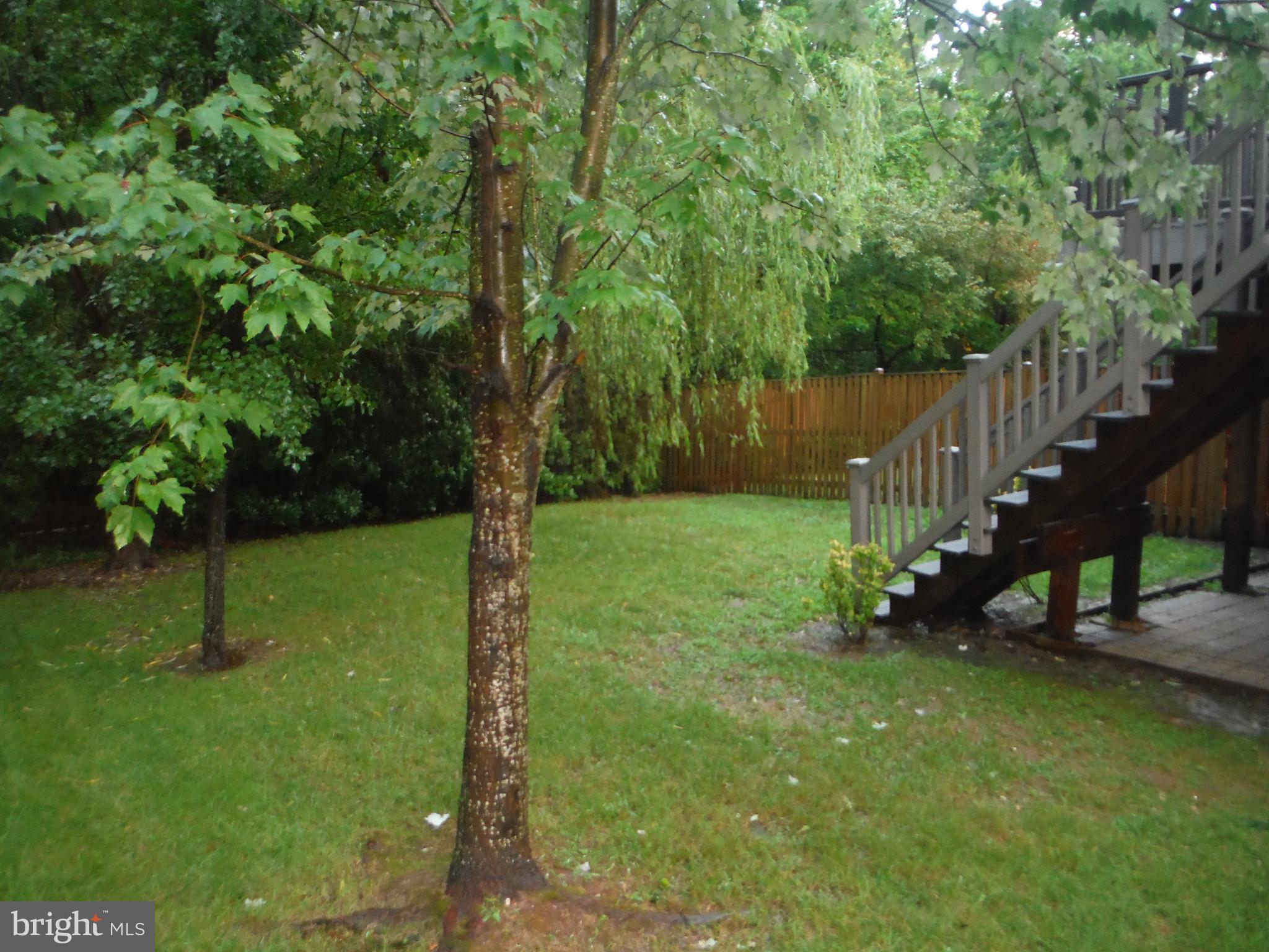 CHESTNUT HILL COVE - Residential