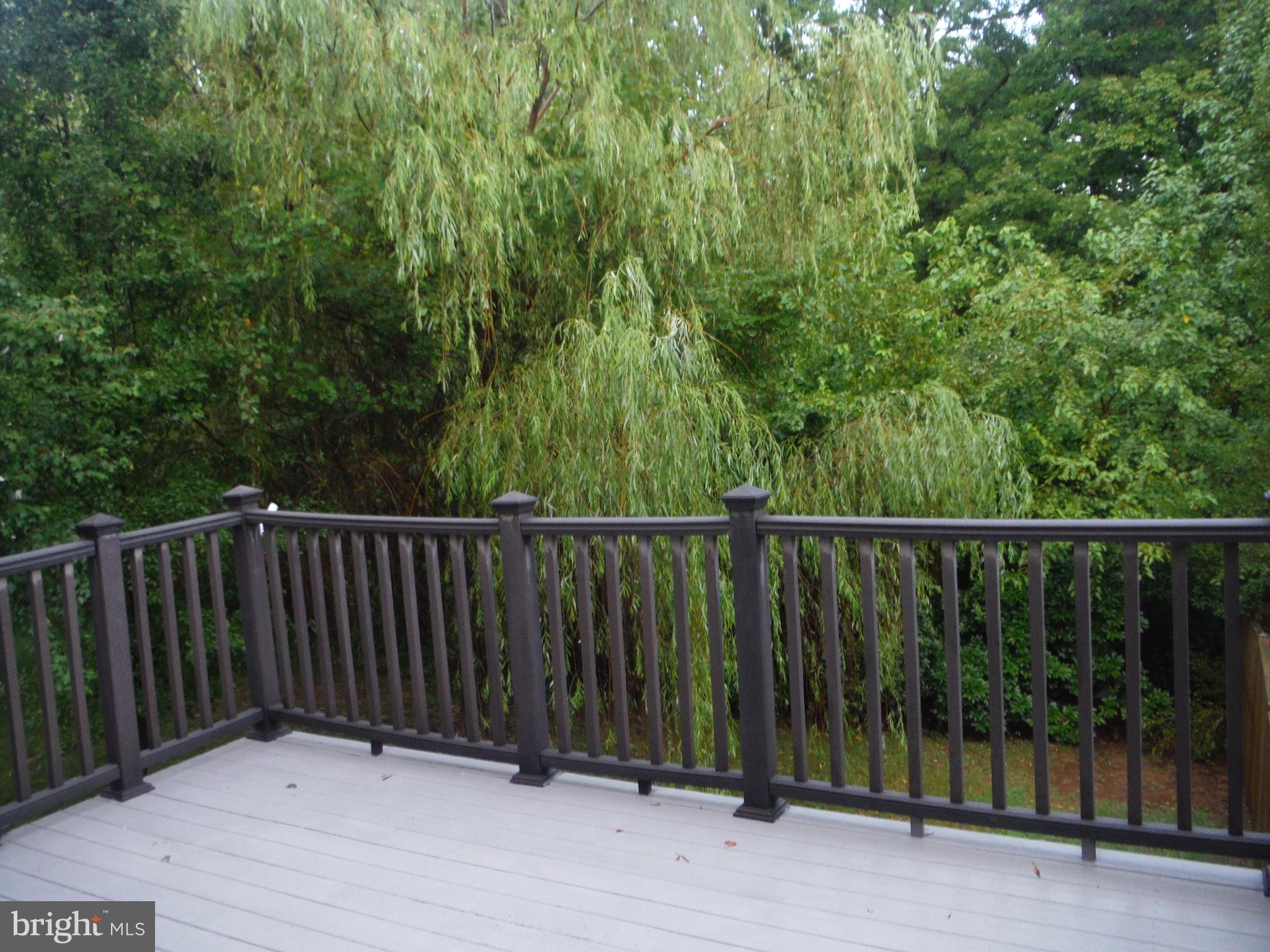 CHESTNUT HILL COVE - Residential