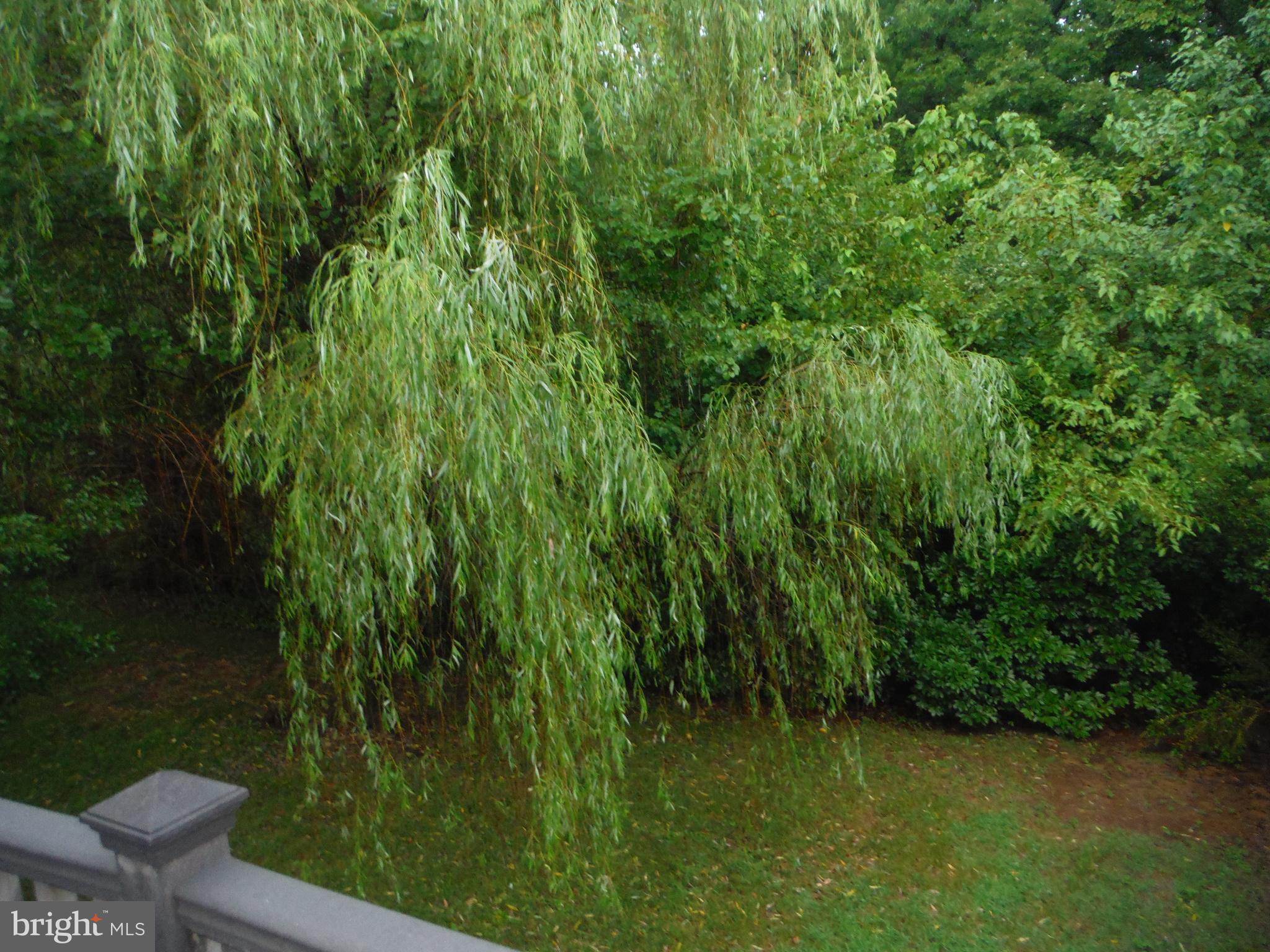 CHESTNUT HILL COVE - Residential