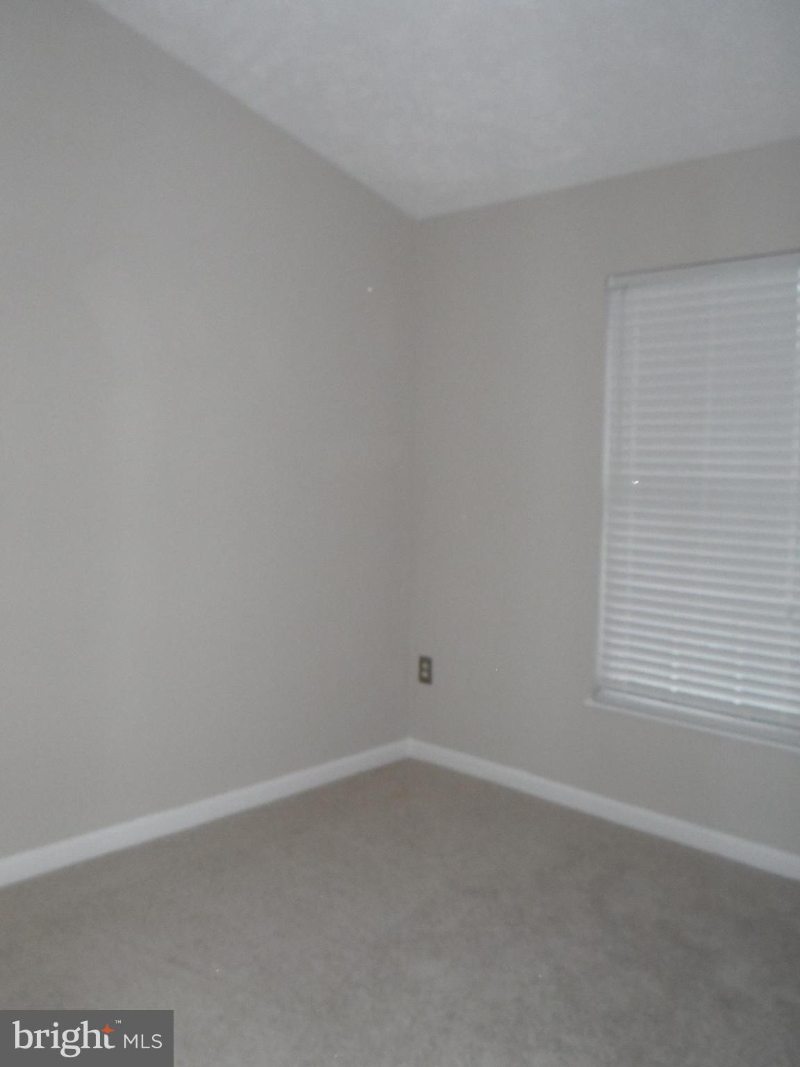 CHESTNUT HILL COVE - Residential