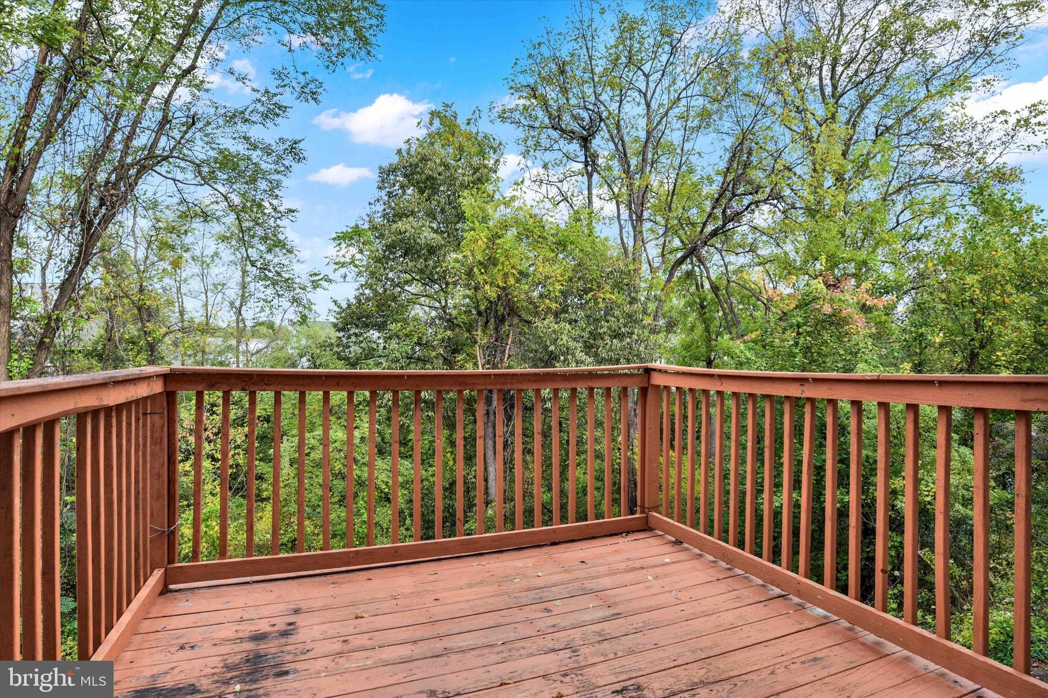 WOODED POND - Residential