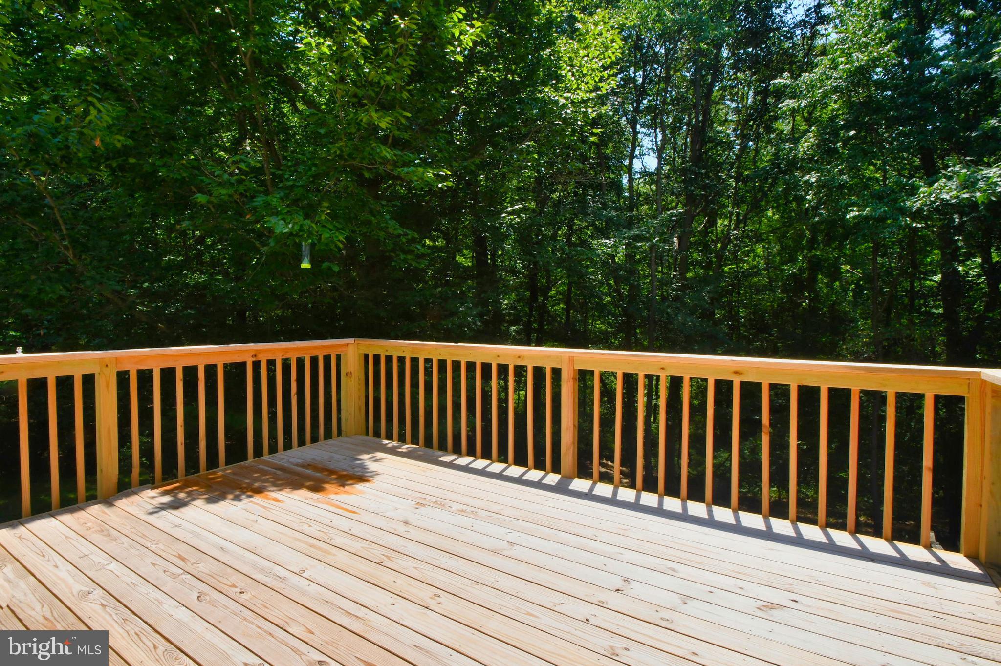 BRISTOL FOREST - Residential