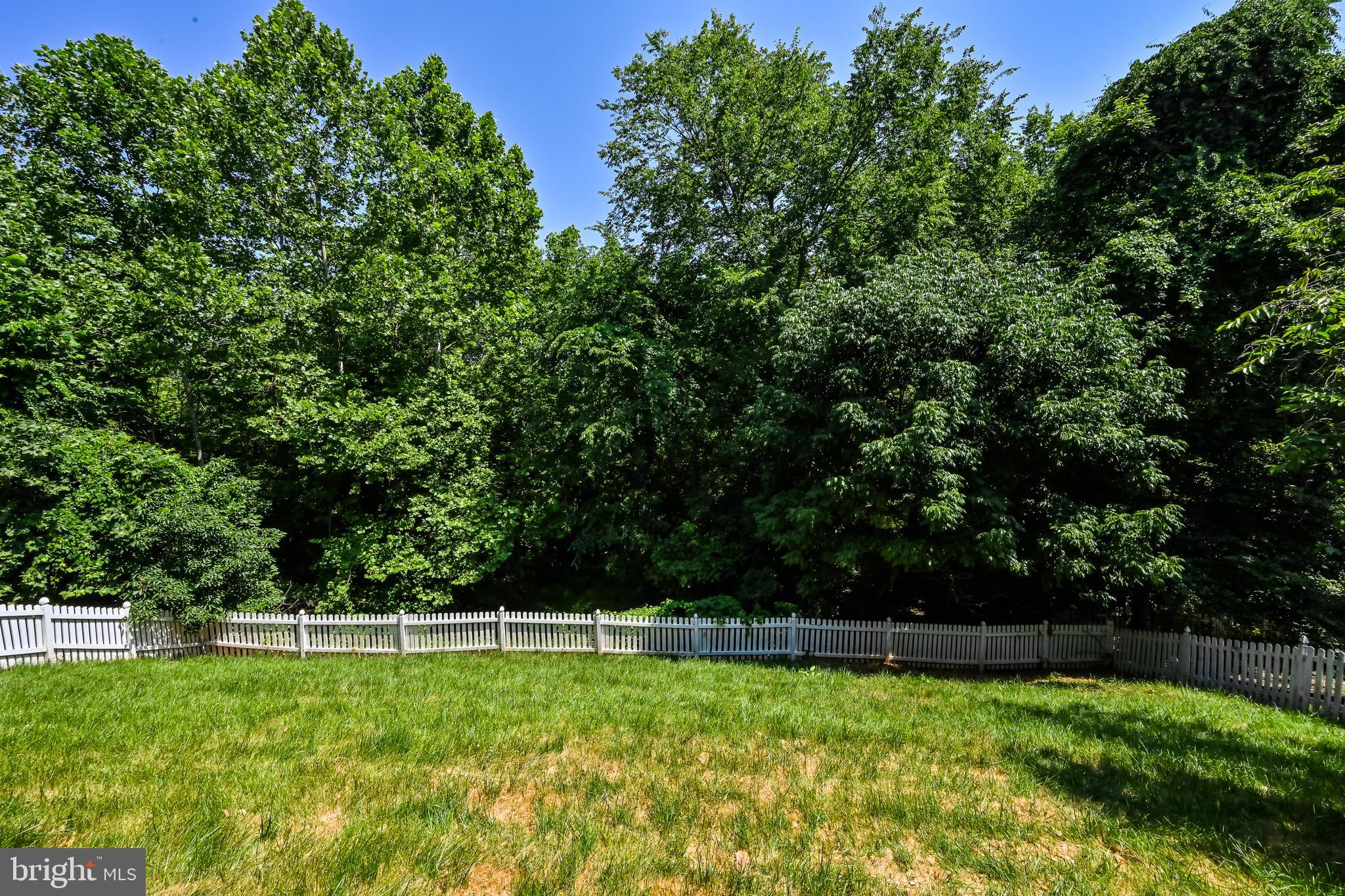 PIEDMONT - Residential Lease