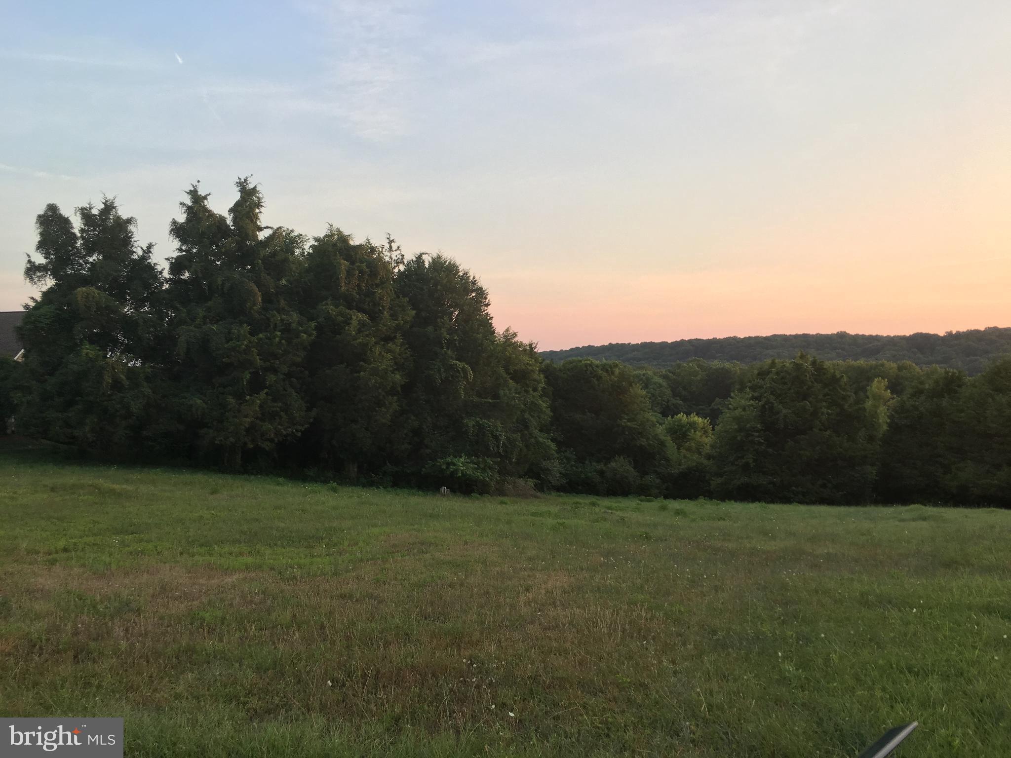 LOCUST GROVE ESTATES SUB - Land