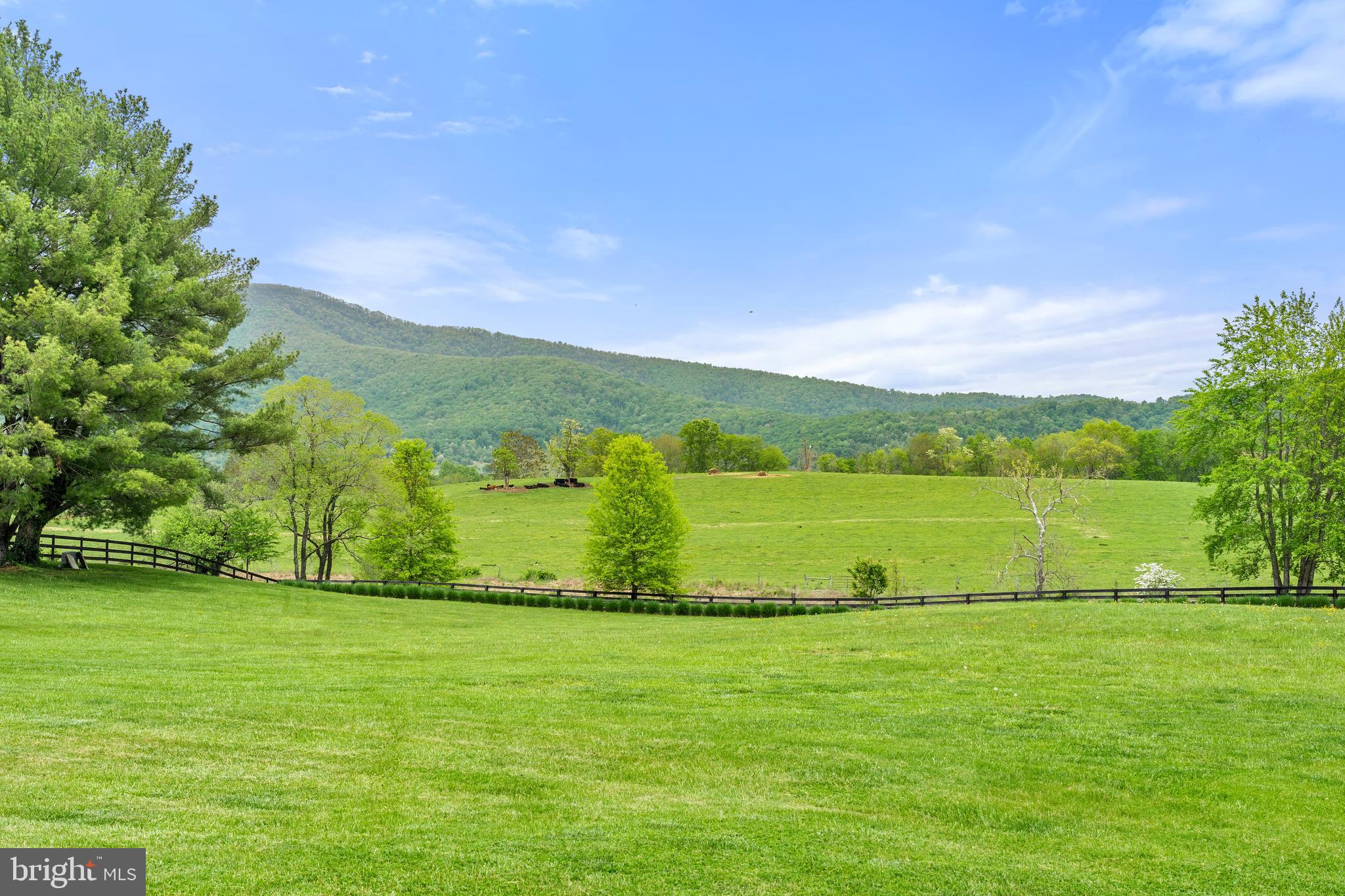 WASHINGTON VIRGINIA - Residential