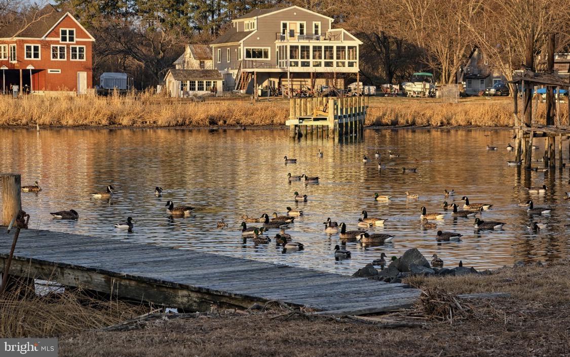 TOWN OF ROCK HALL - Residential