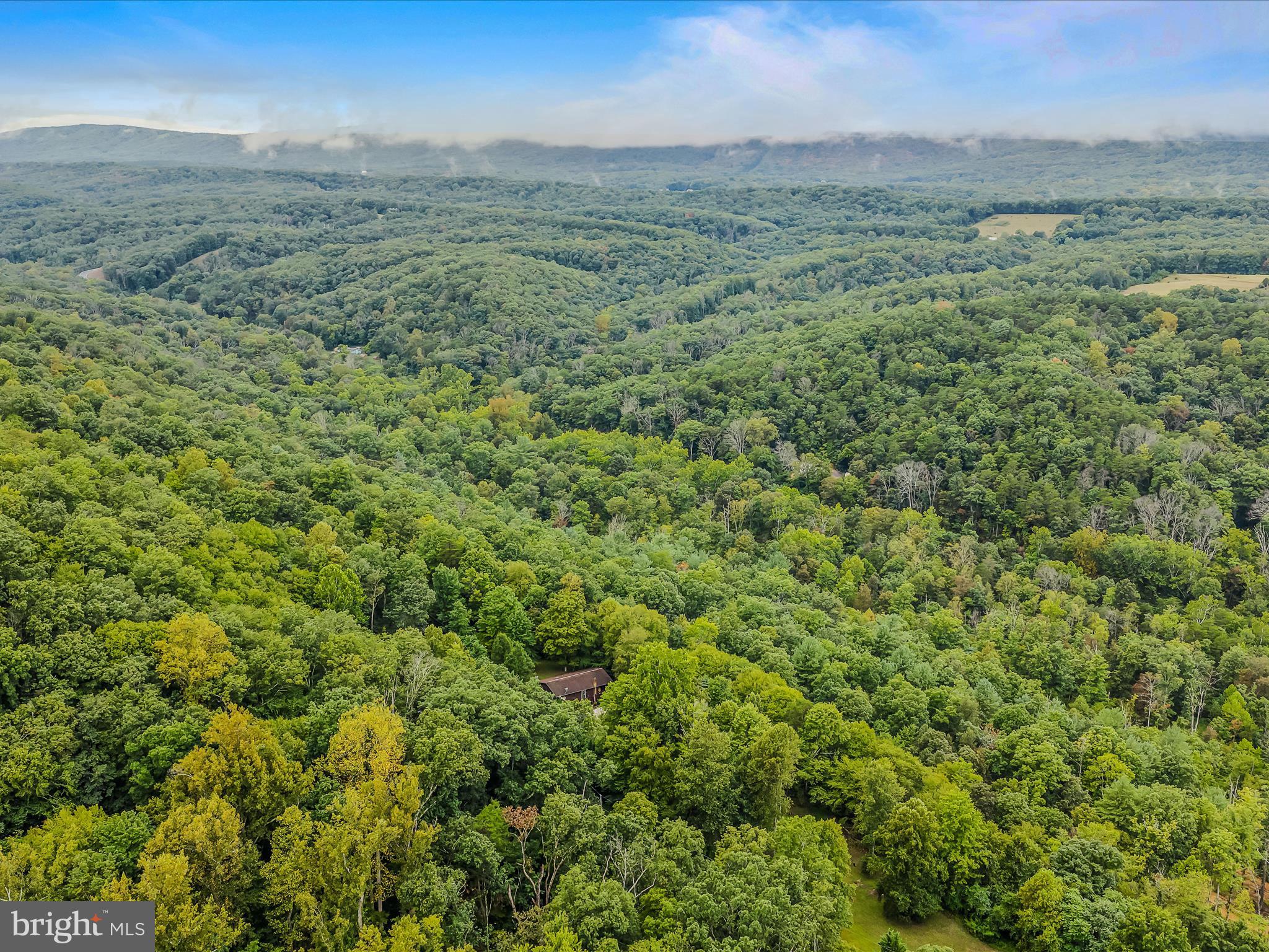LONG HOLLOW - Residential