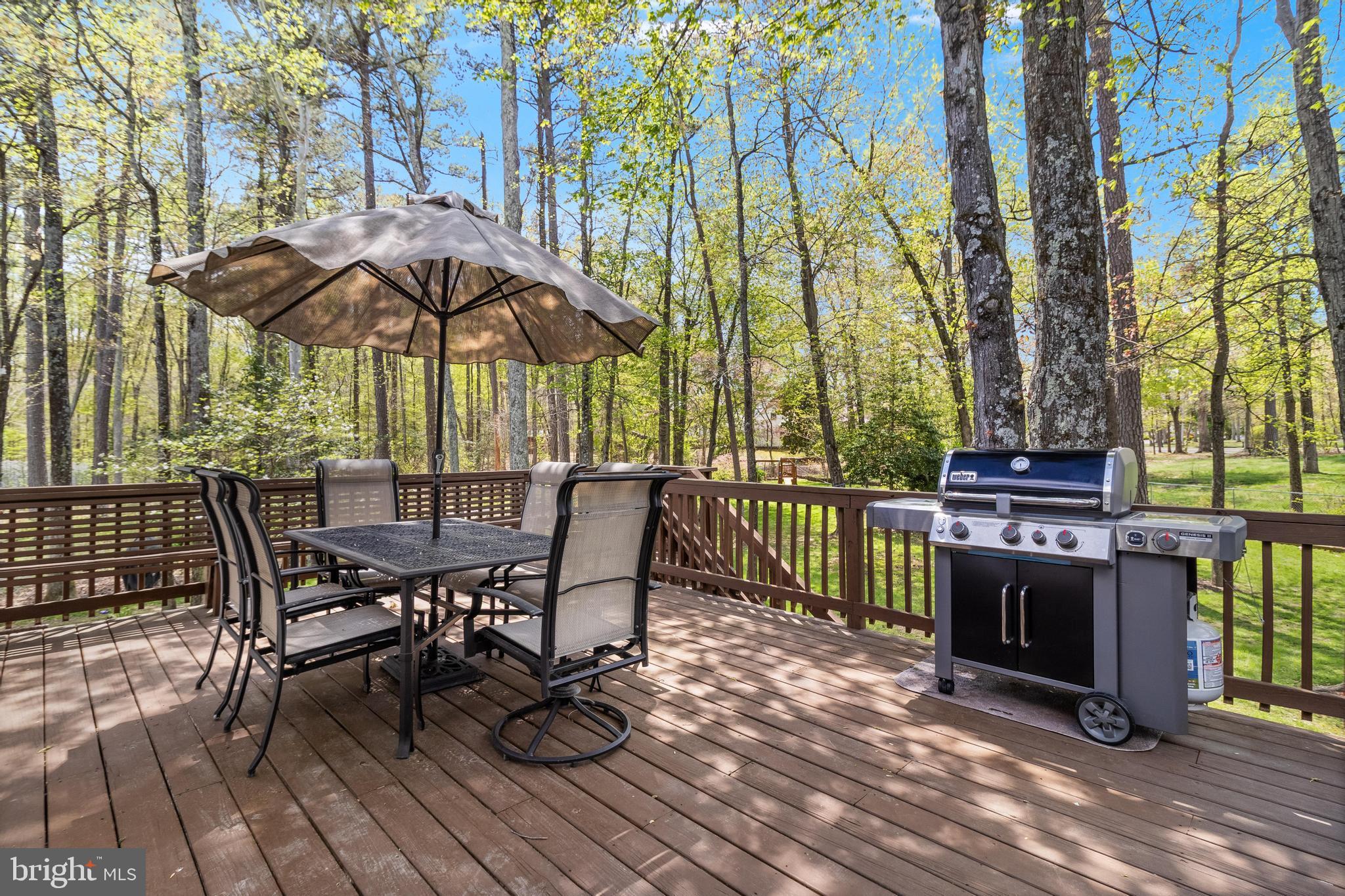 WILLOWGATE LA PLATA - Residential