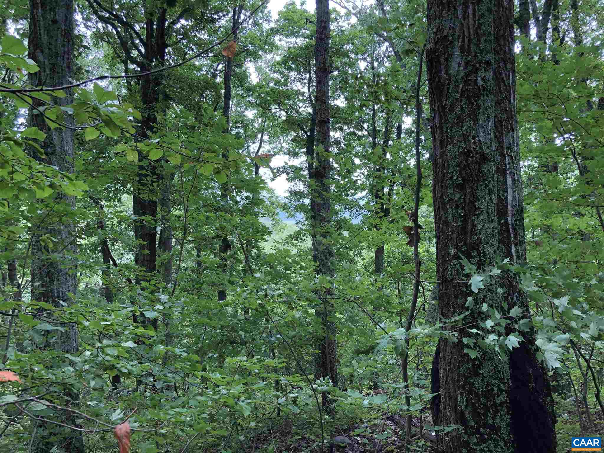 NONE AVAILABLE - Land