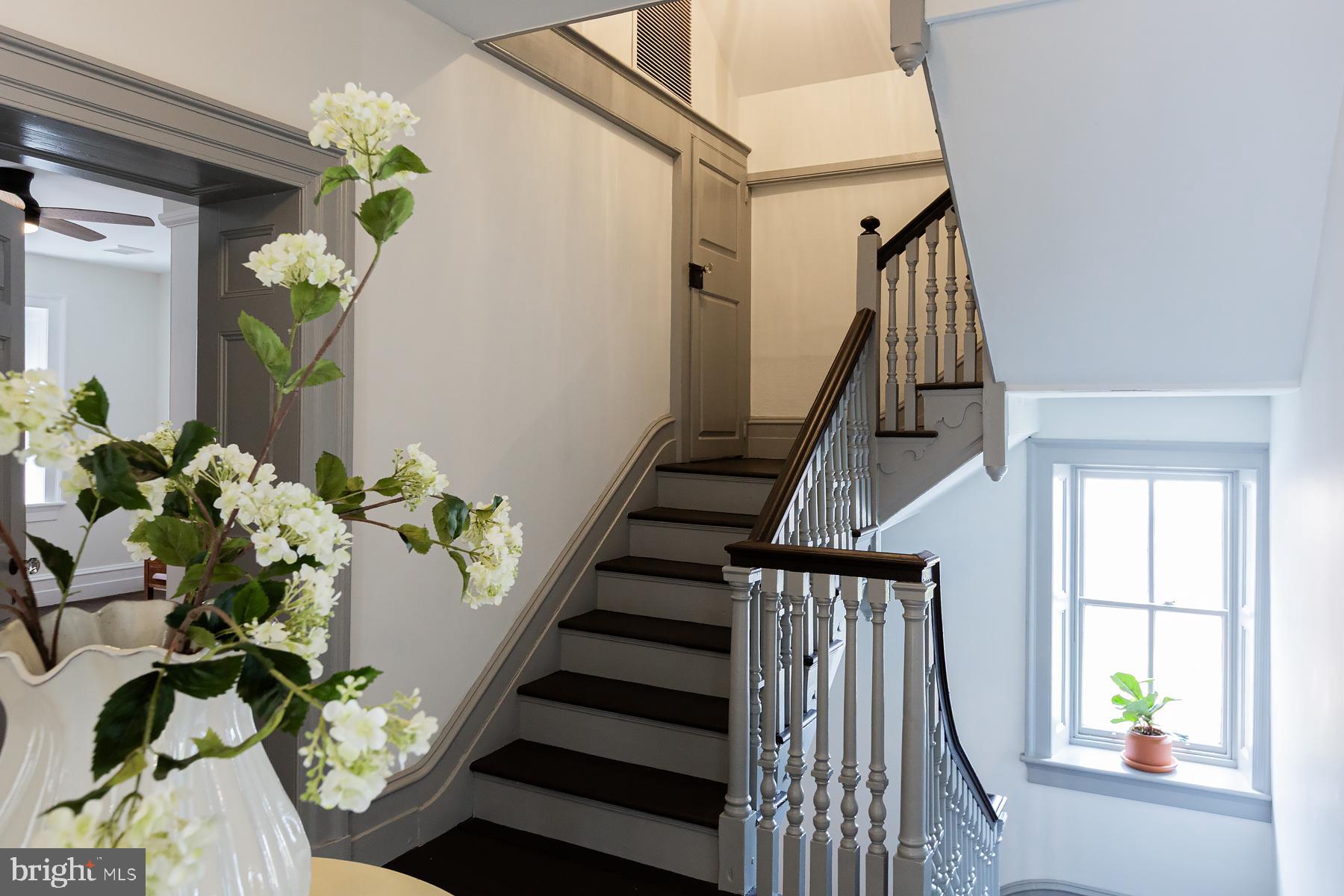 CHESTNUT HILL - Residential