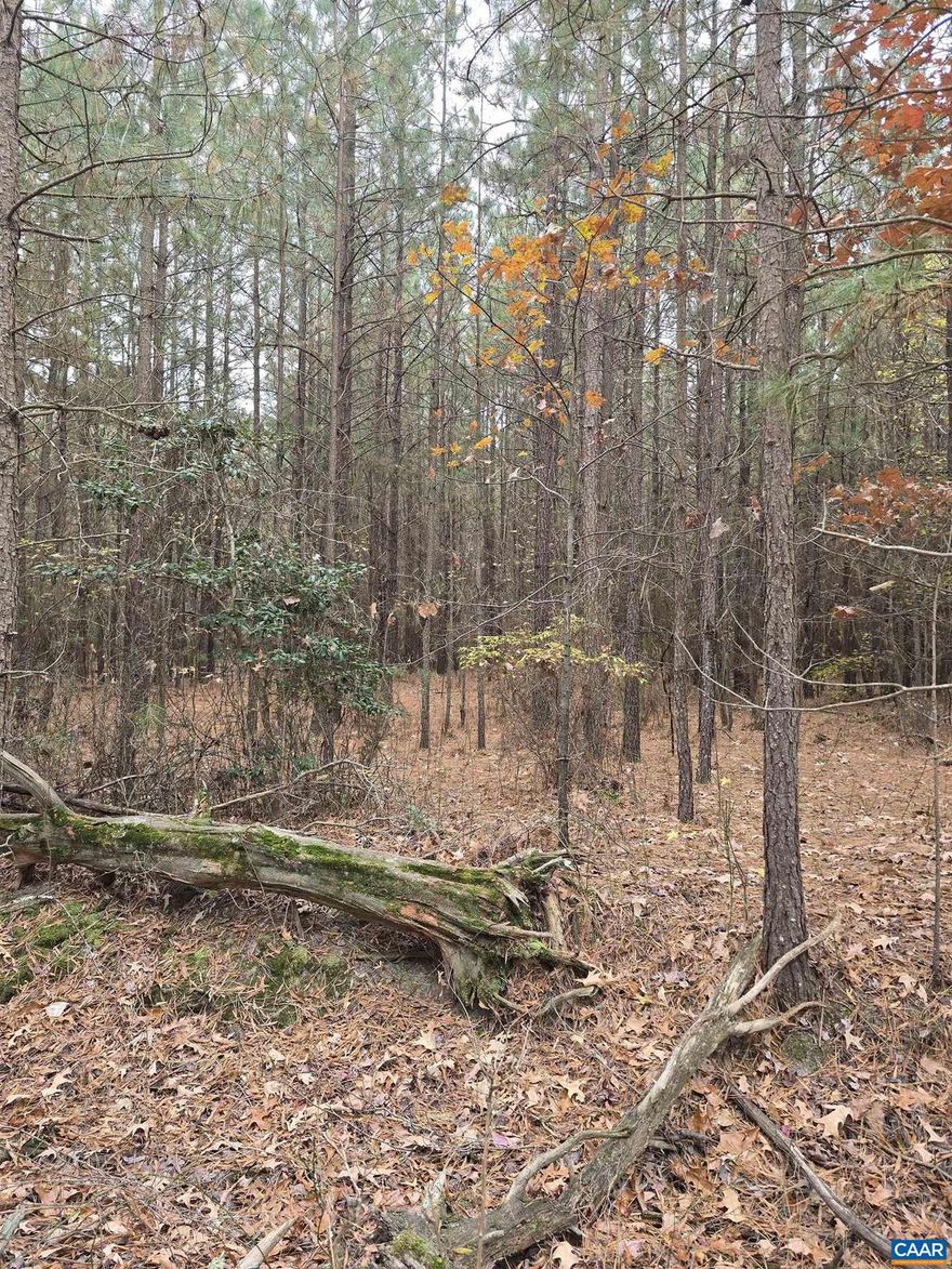 Beautiful building lot within walking distance of the beach.  This lot is about 25 minutes to Montross and Colonial Beach, 35 minutes to Dahlgren and 35 minutes to Bowling Green and Fort AP Hill.  Easy access to Colonial Beach with all its amenities, shopping, dining, and gambling.  The lot is level and boasts mature trees.  Public water and sewer hook ups are available at the road.  Voluntary Civic Association offers picnic grounds, access to freshwater lakes, and fishing pier with access to the Potomac River via the Mattox Creek.