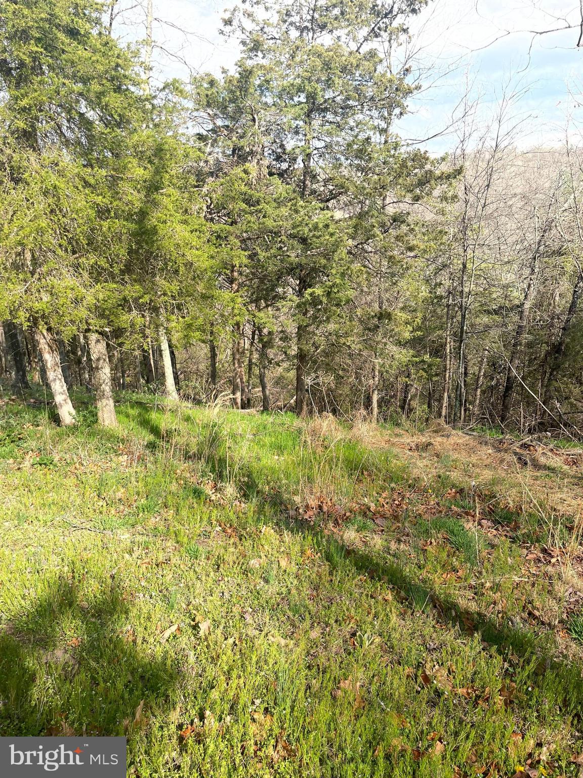 POTOMAC HIGHLAND FARM - Land