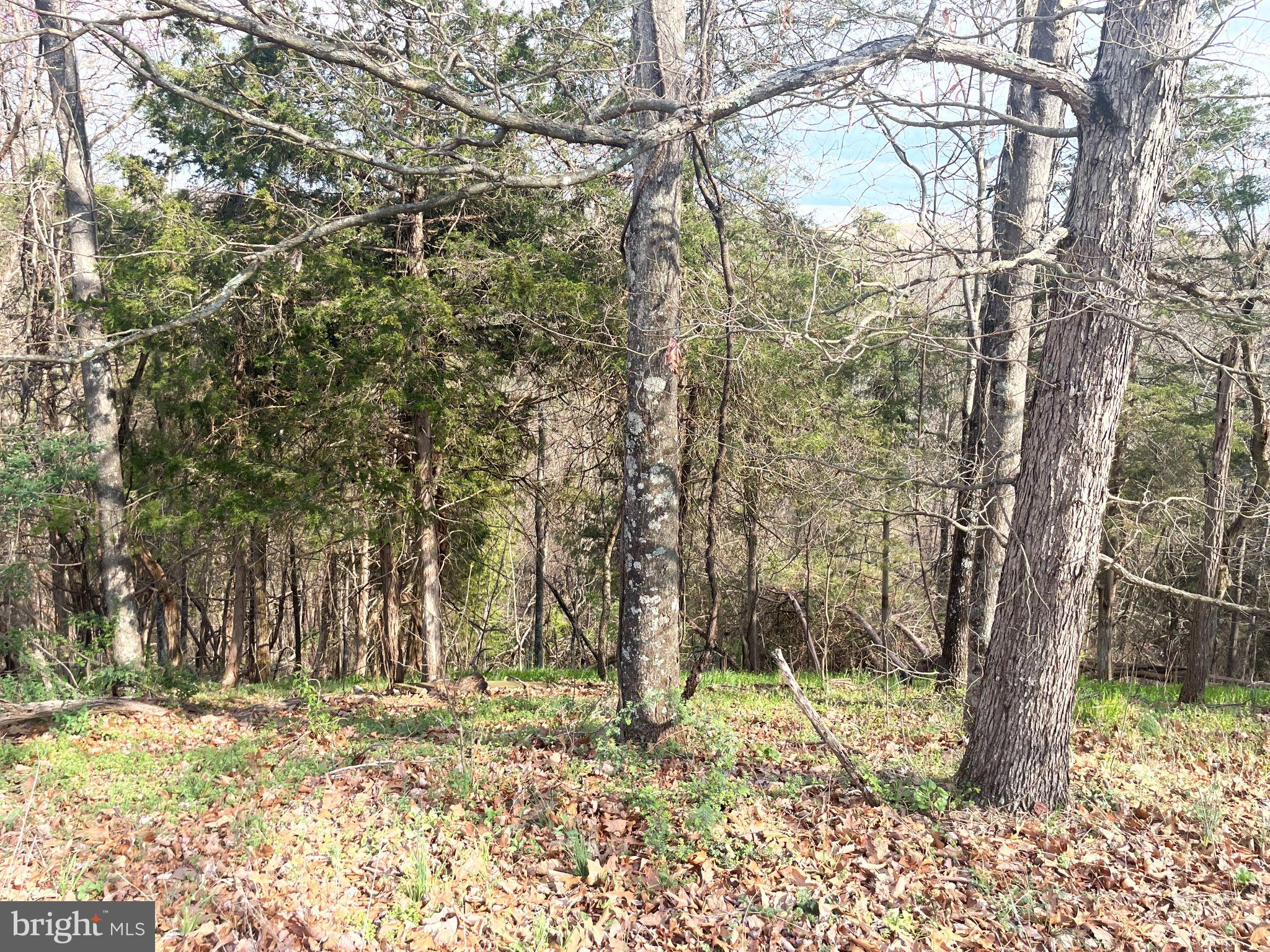 POTOMAC HIGHLAND FARM - Land