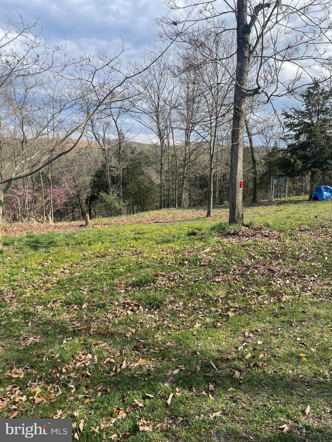 POTOMAC HIGHLAND FARM - Land