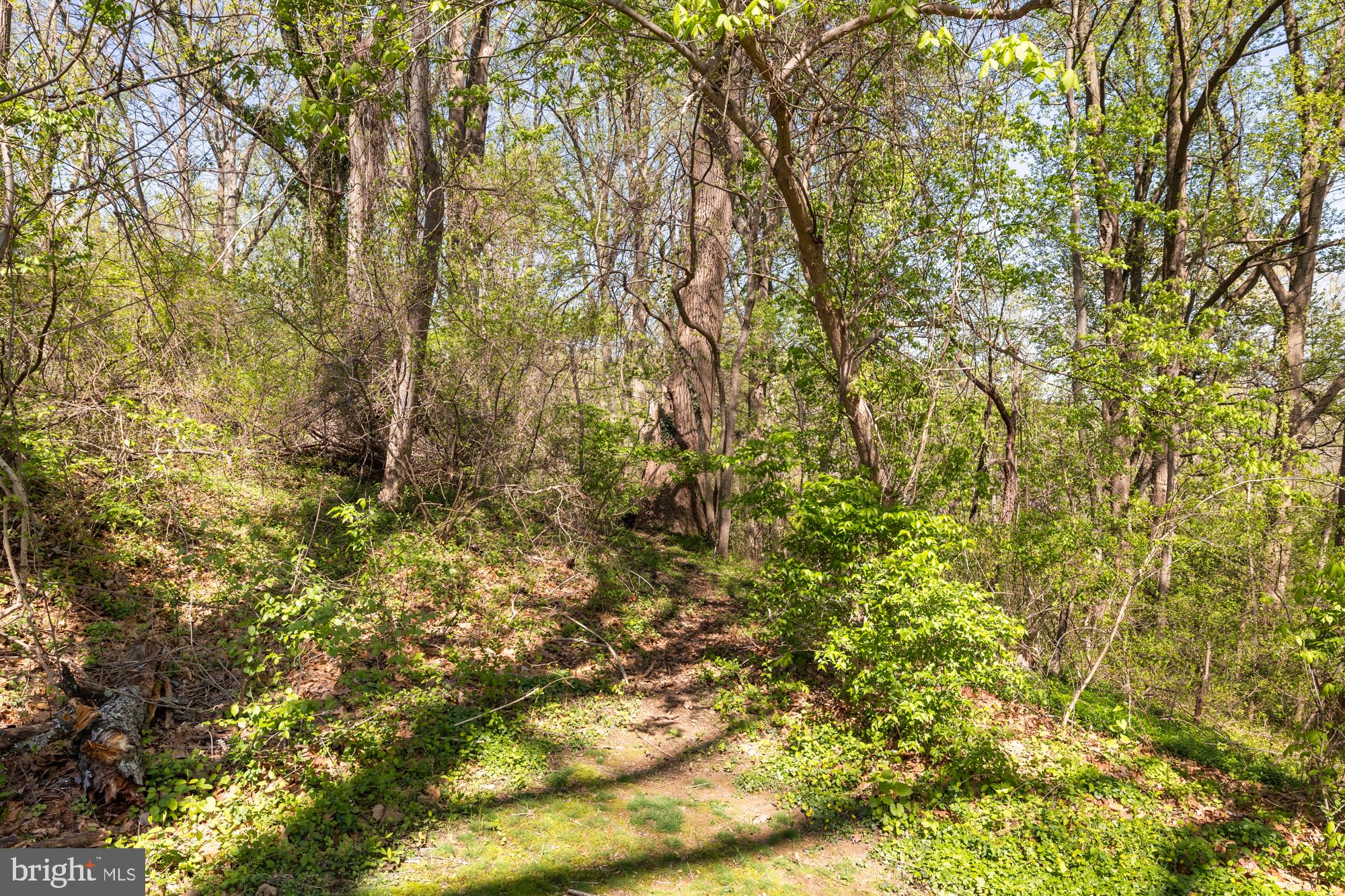 SUMNER CLUSTERS - Residential