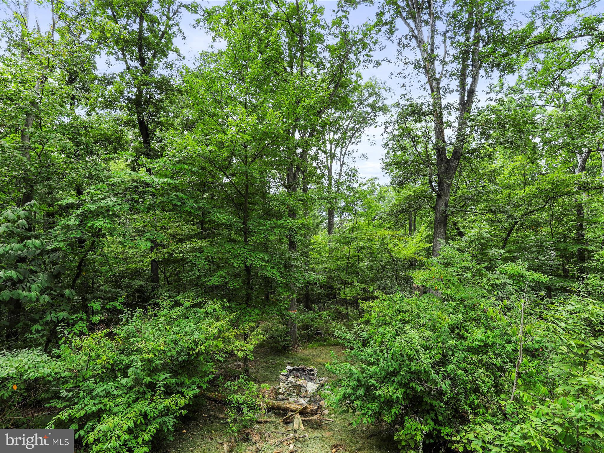 GLENWOOD FOREST - Residential