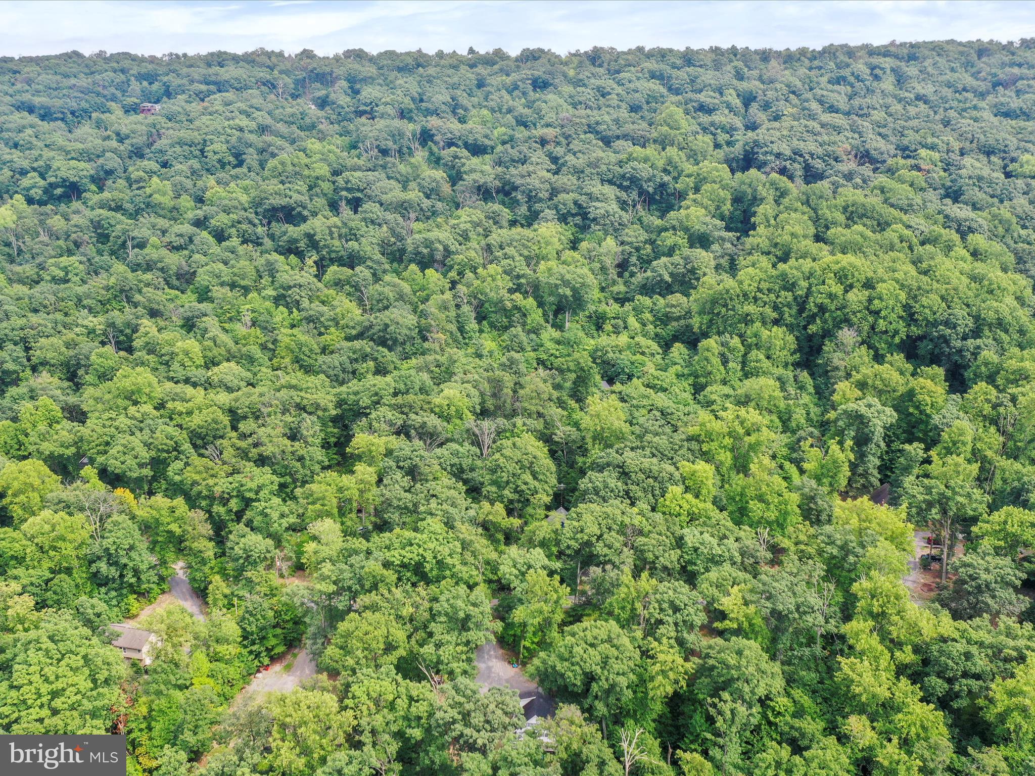 GLENWOOD FOREST - Residential