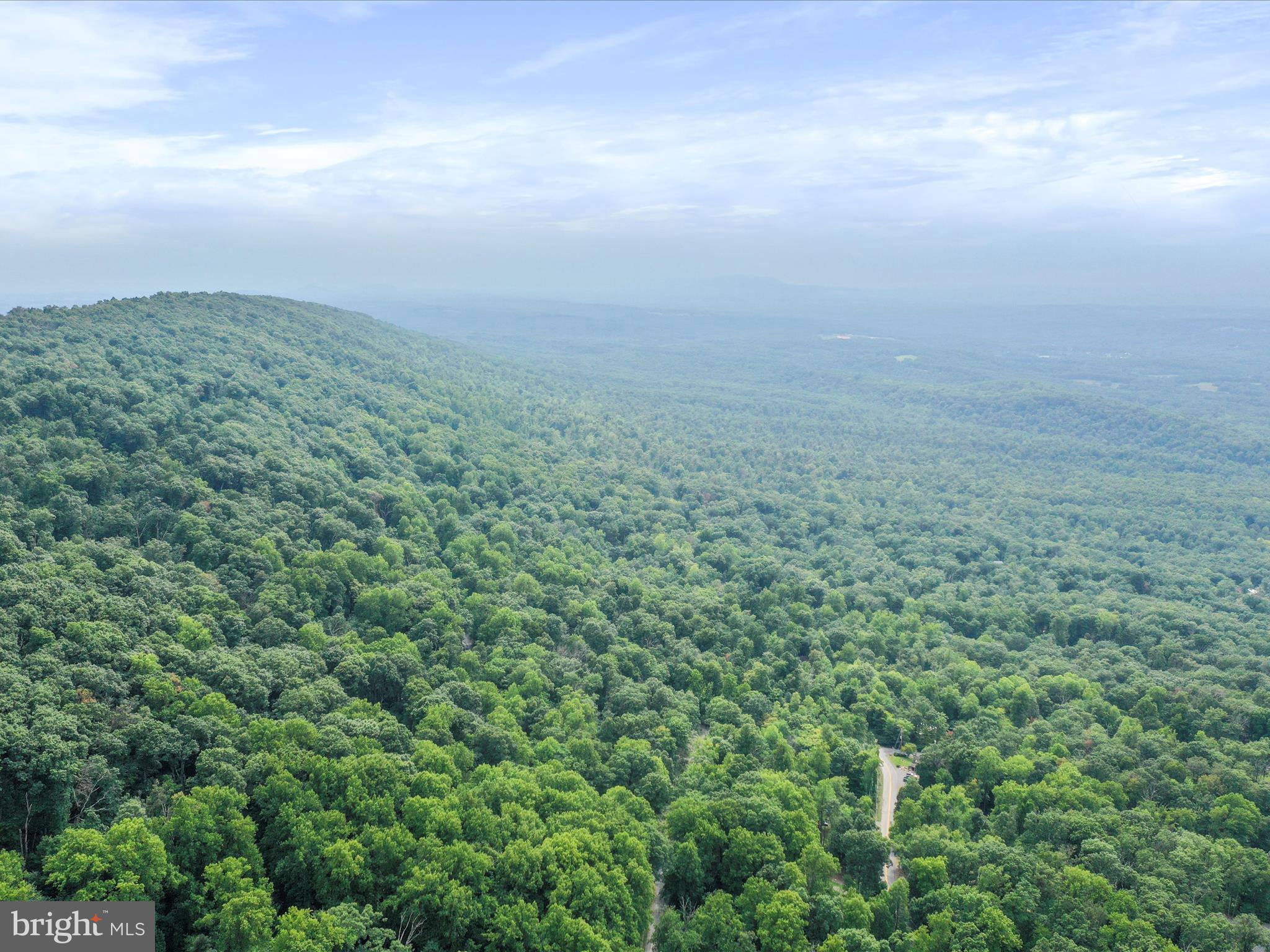 GLENWOOD FOREST - Residential