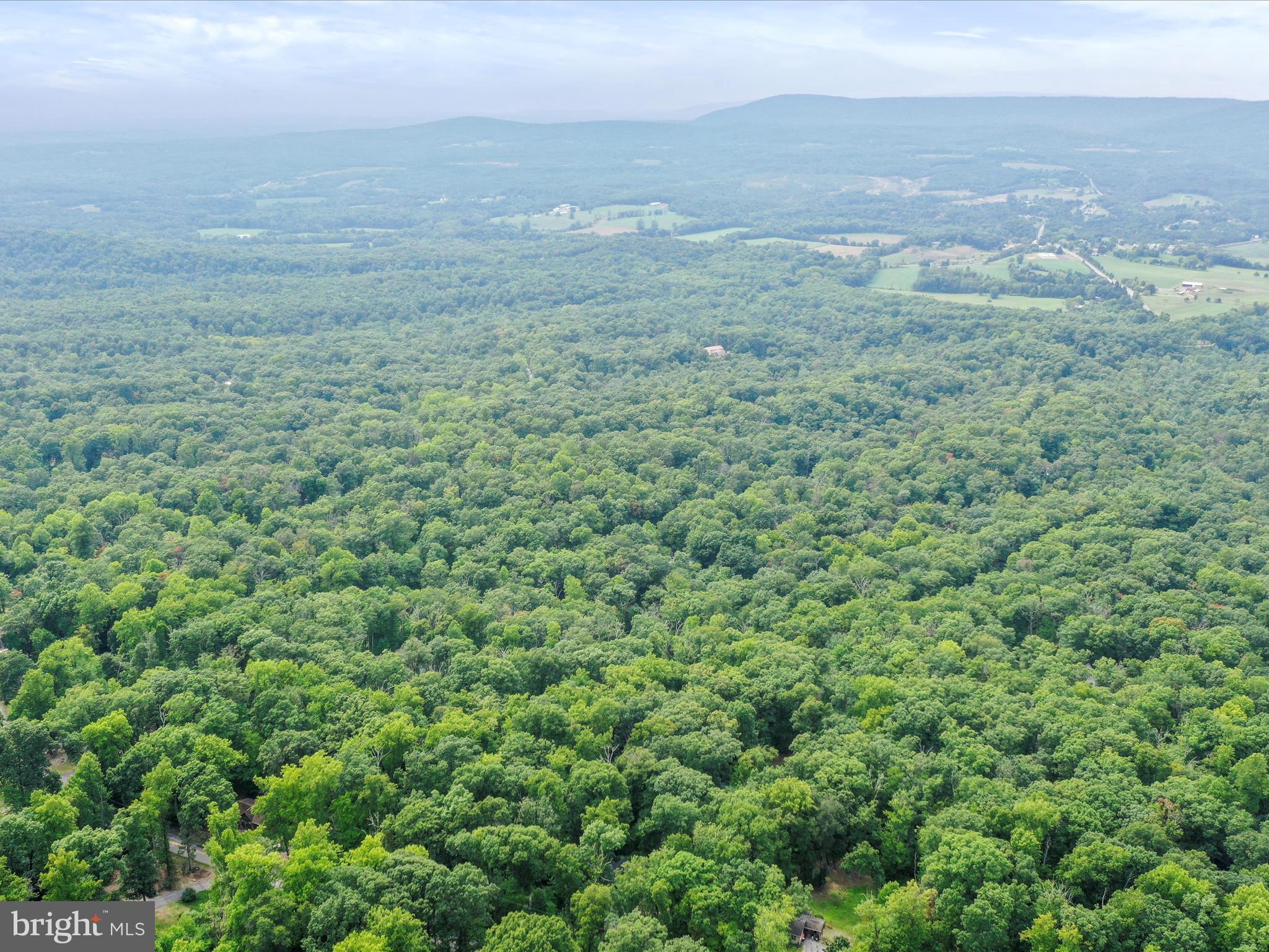GLENWOOD FOREST - Residential