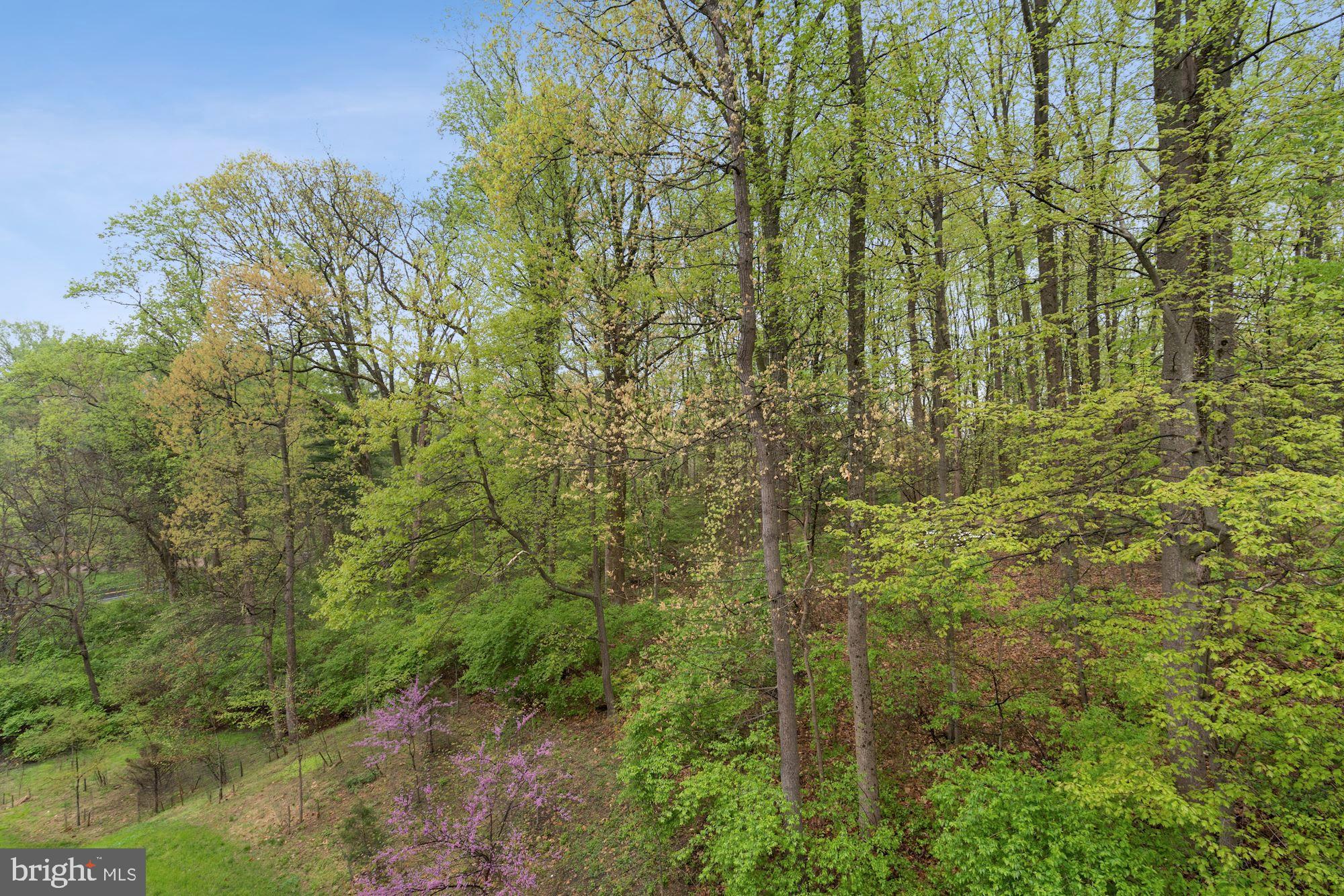 LITTLE FALLS PLACE - Residential