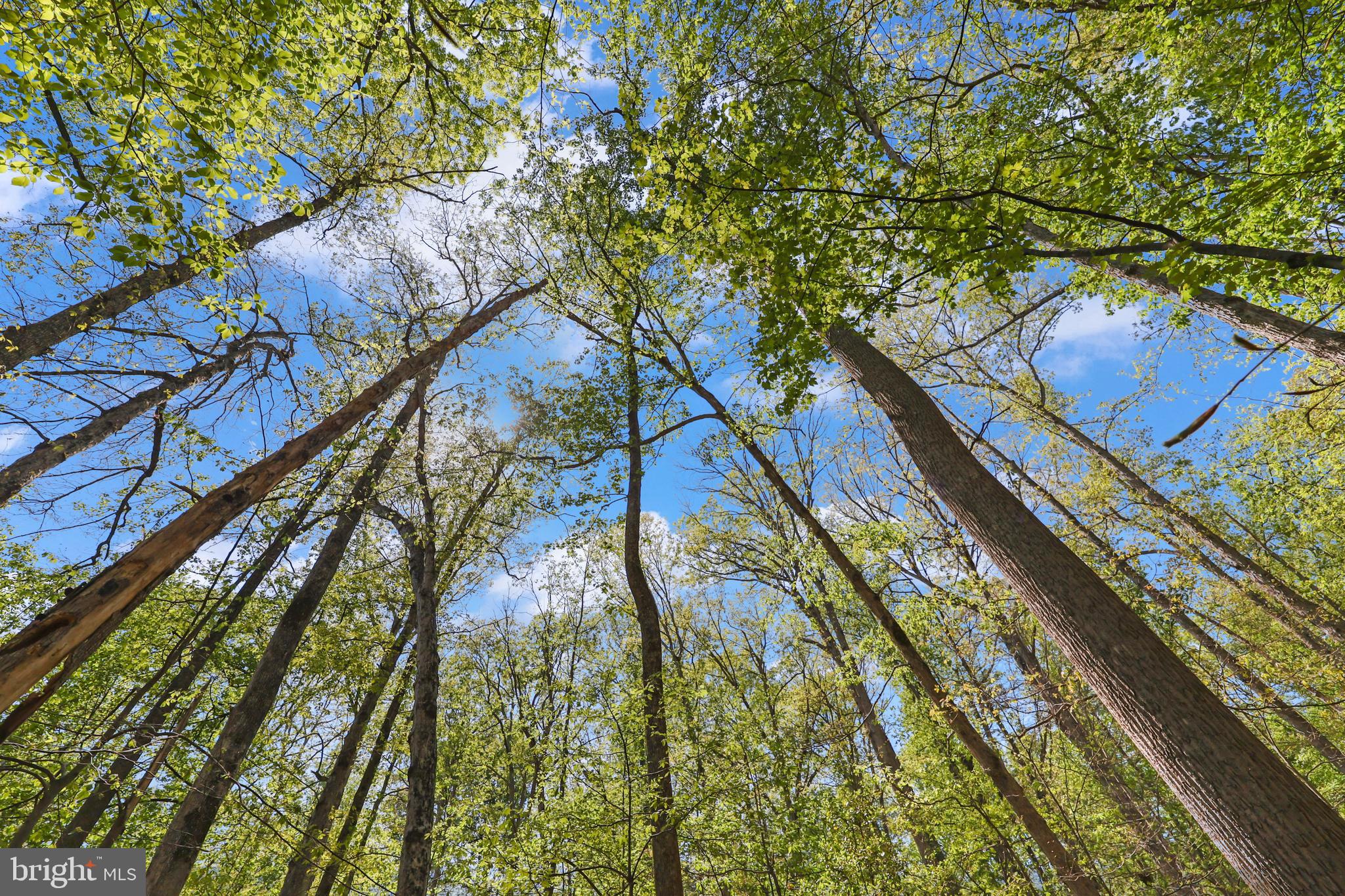 BRENBROOKE - Residential