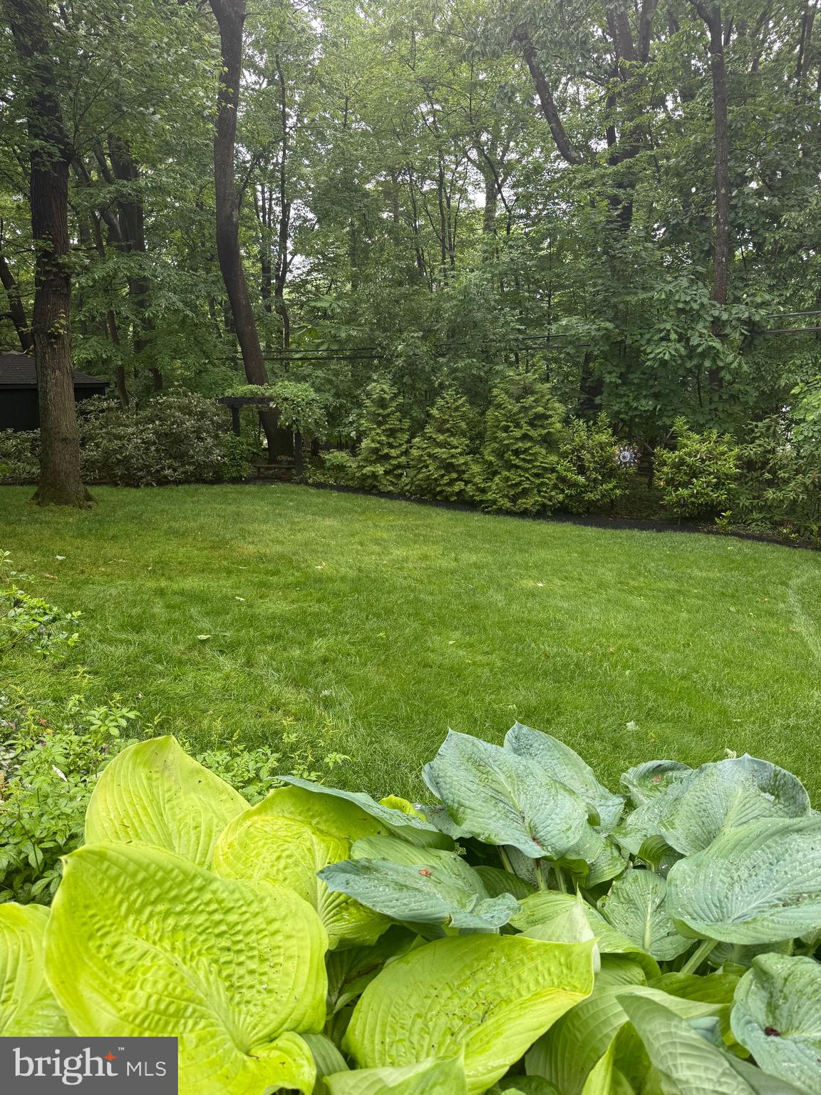 CUSTIS WOODS - Residential