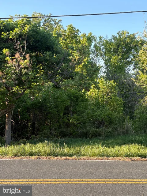 MLS: MDPG2202108