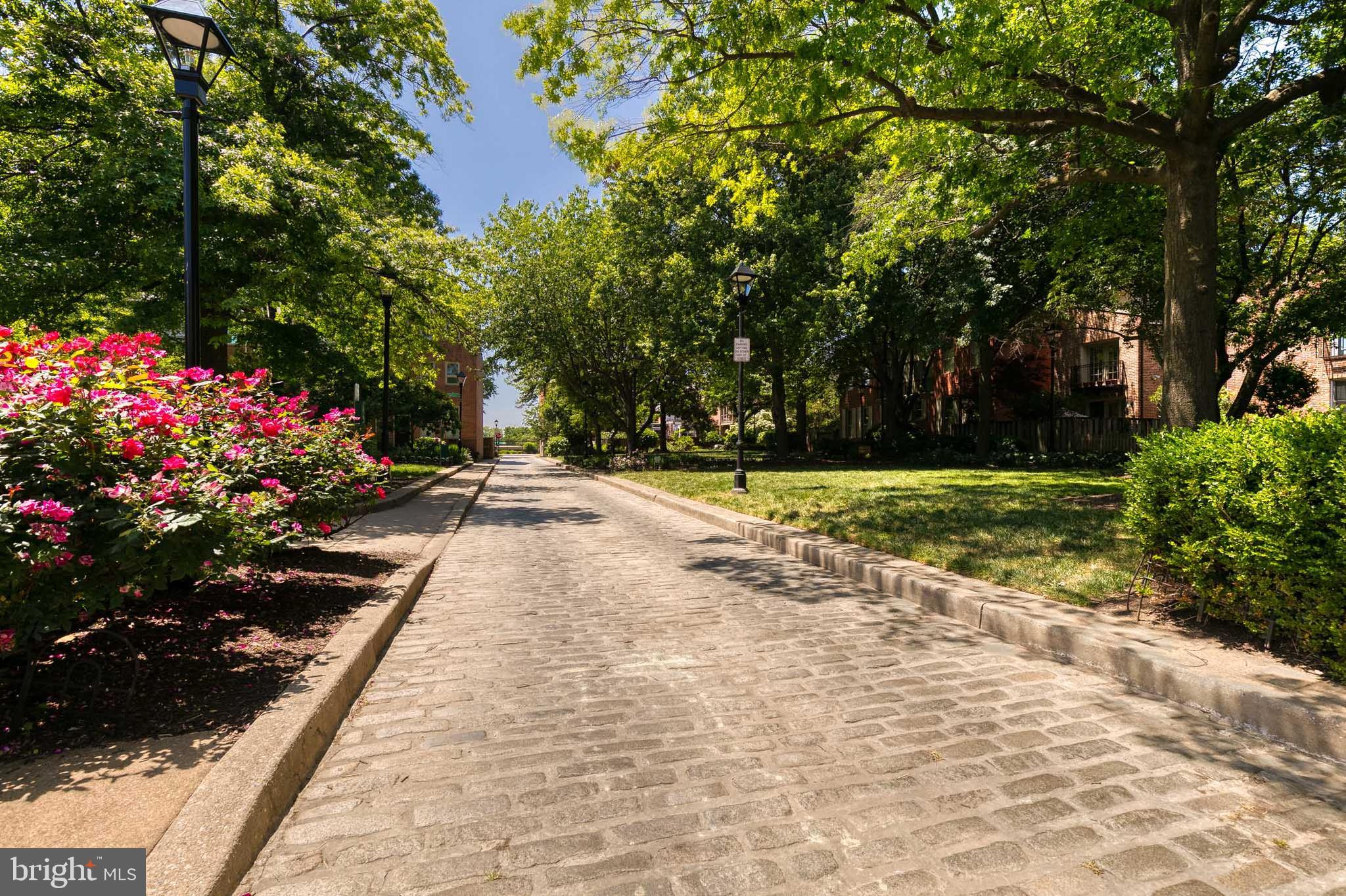 OTTERBEIN - Residential Lease