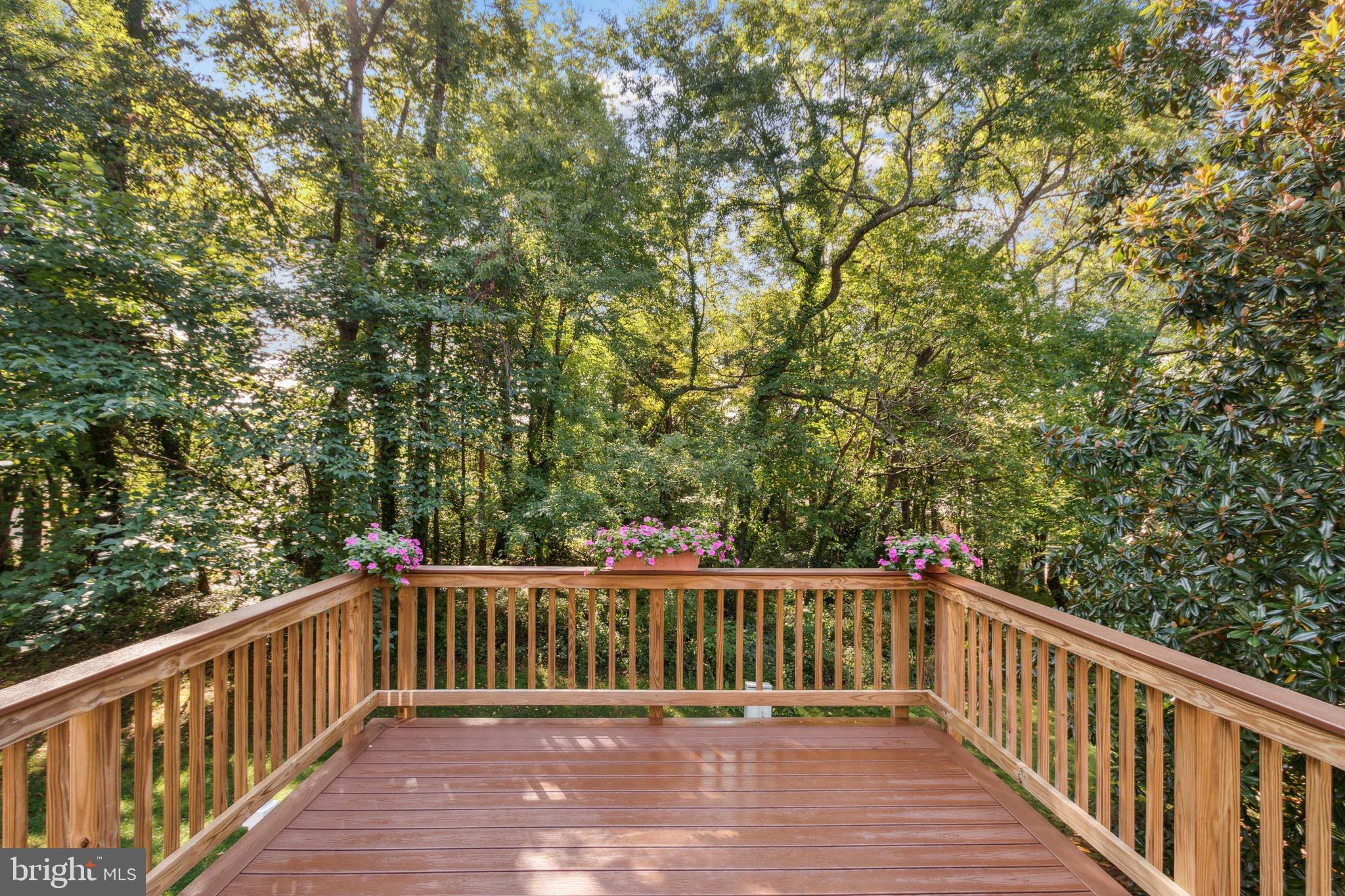 BIRCHFIELD WOODS - Residential