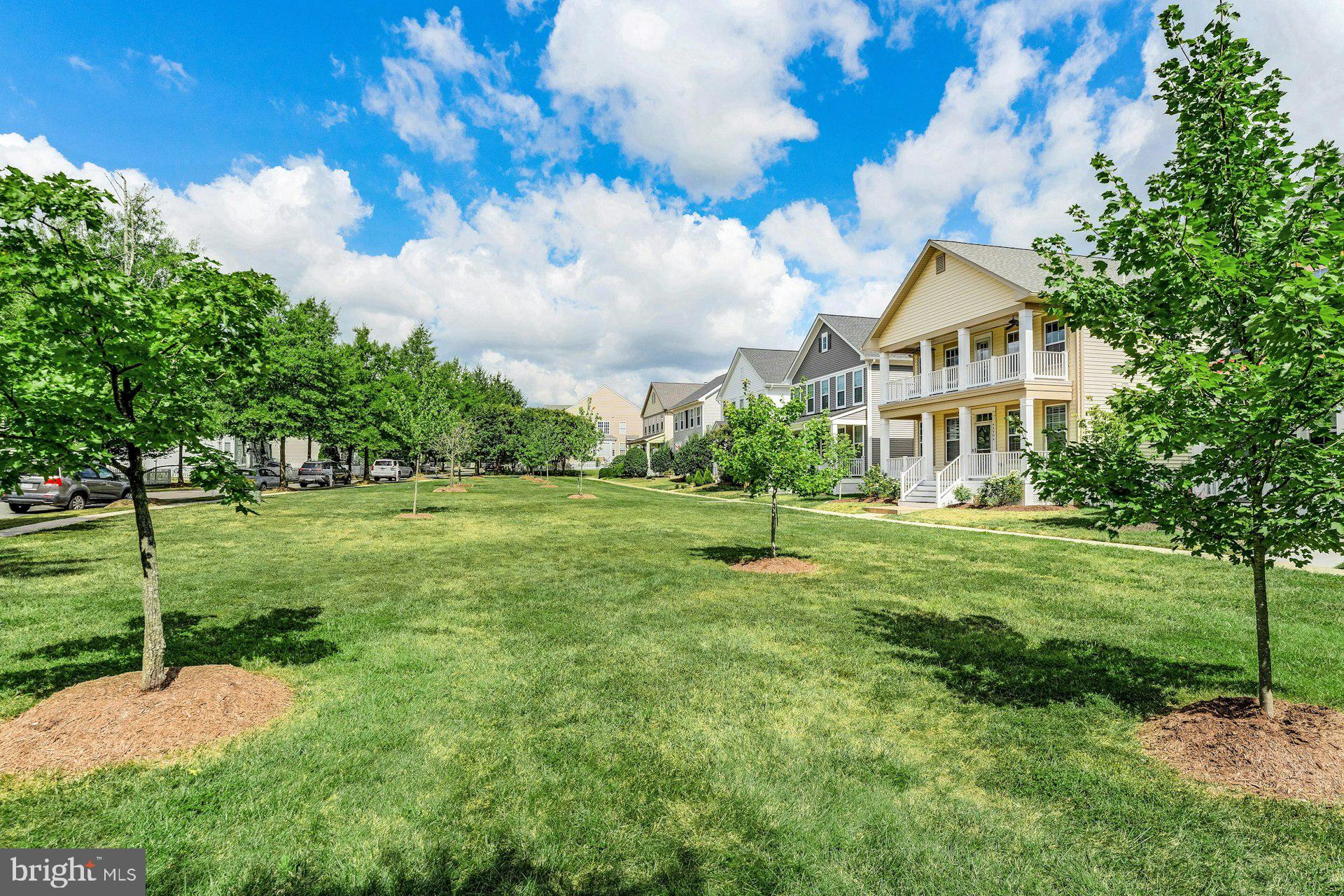 BELMONT GREENE - Residential