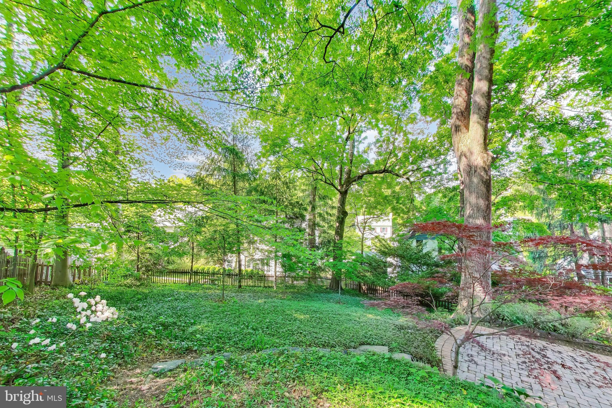 CHEVY CHASE PARK - Residential