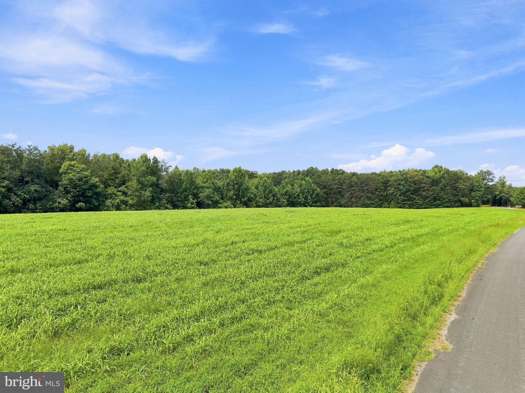 GRAND BROOKS ROAD